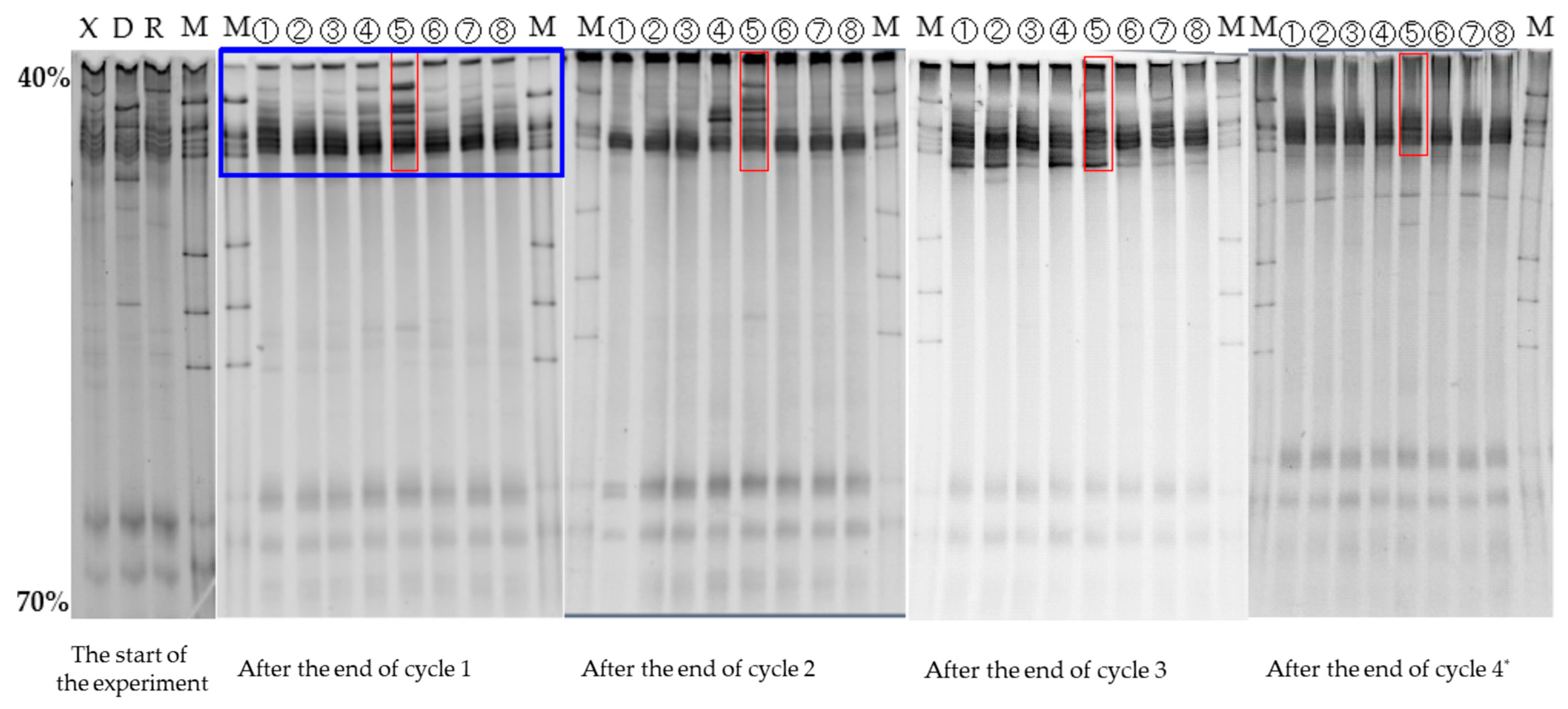 Water 15 01749 g004 Water 15 01749 g004