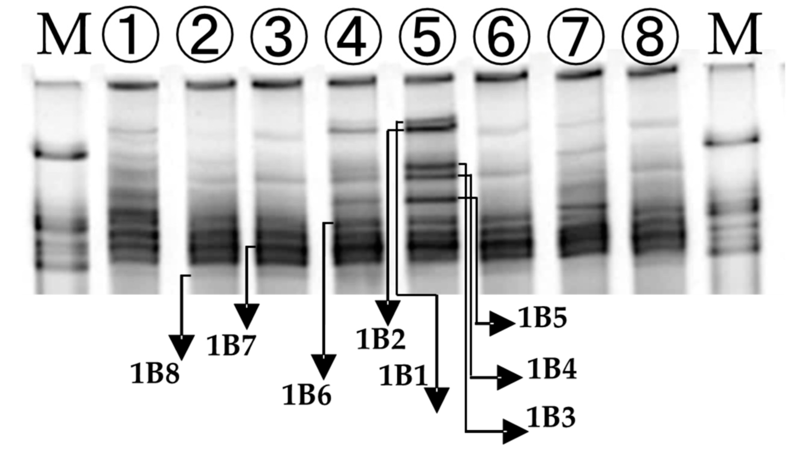 Water 15 01749 g005 Water 15 01749 g005