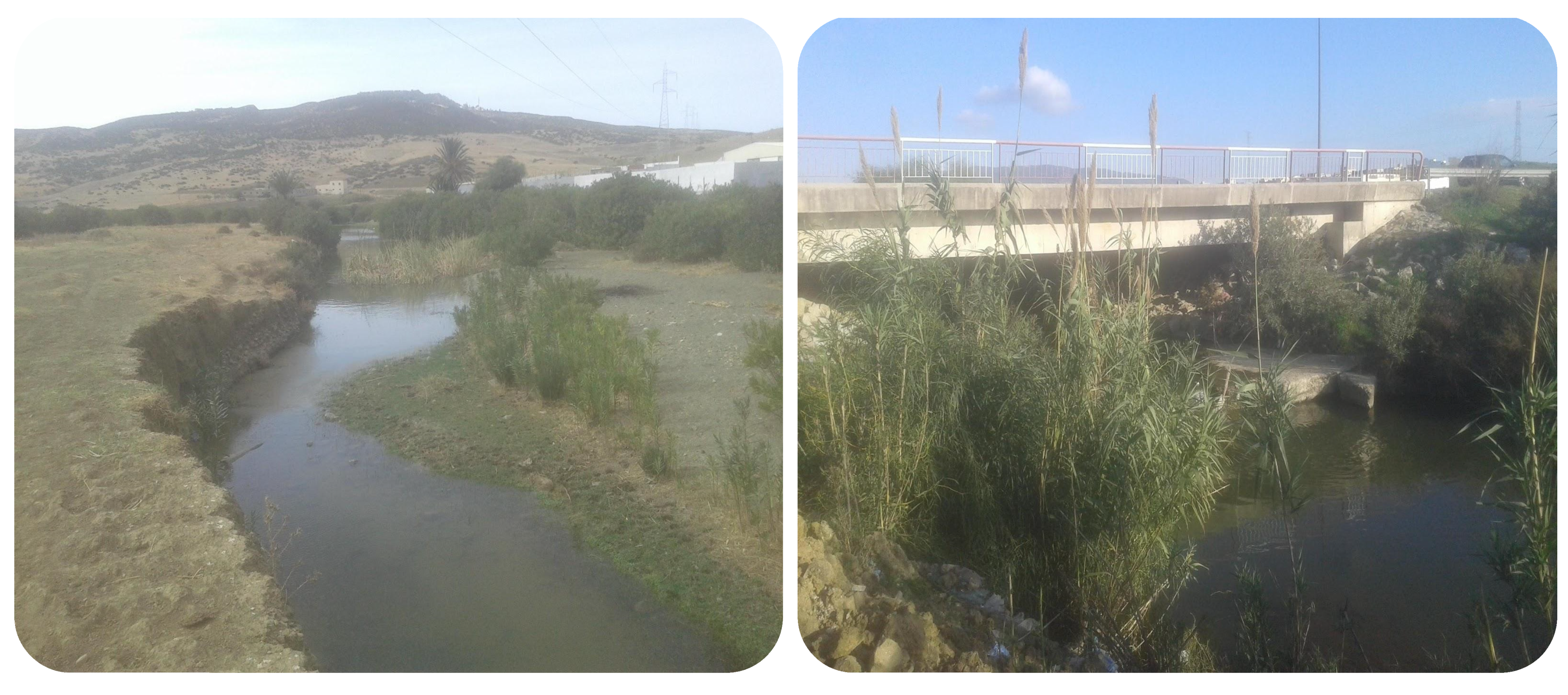 Water 15 01752 g002a Water 15 01752 g002a