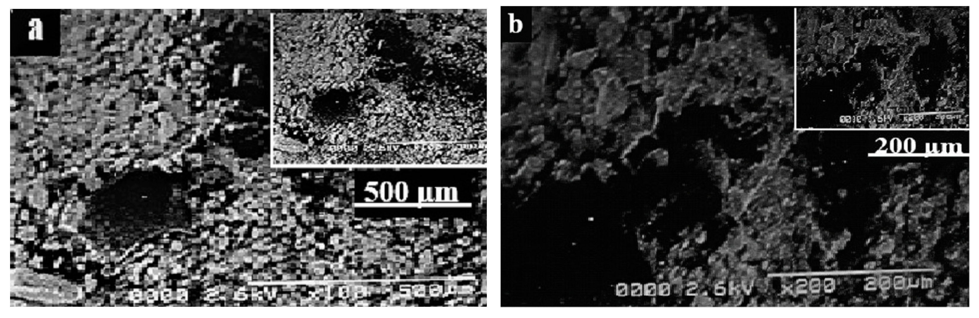 Water 15 01788 g006a