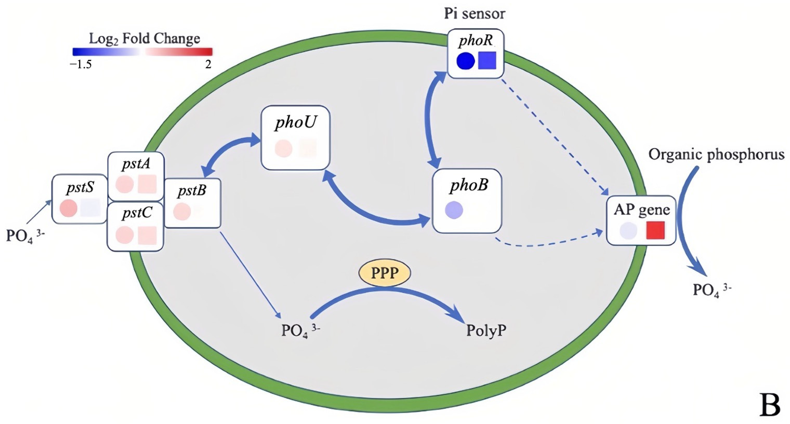 Water 15 01938 g005b