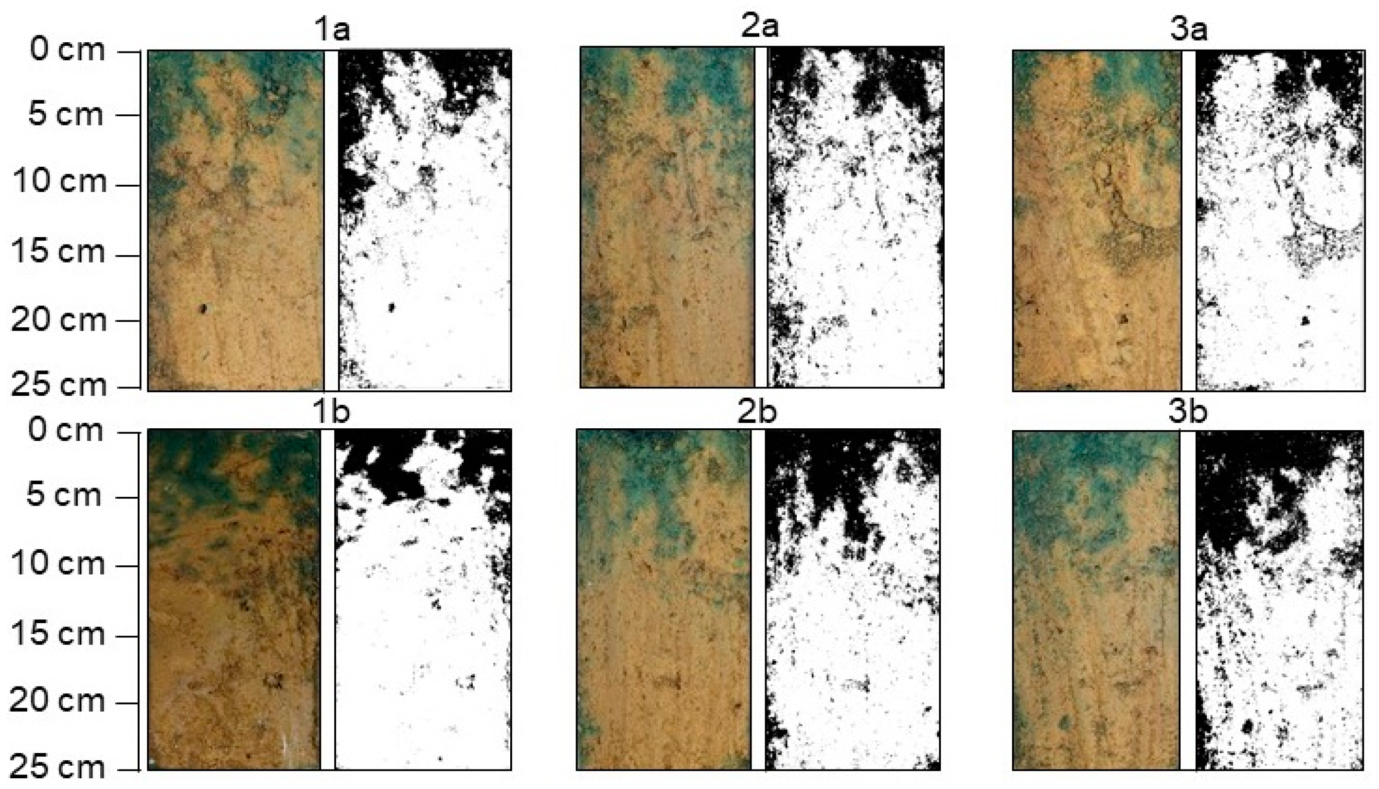 Water 15 02178 g010 Water 15 02178 g010