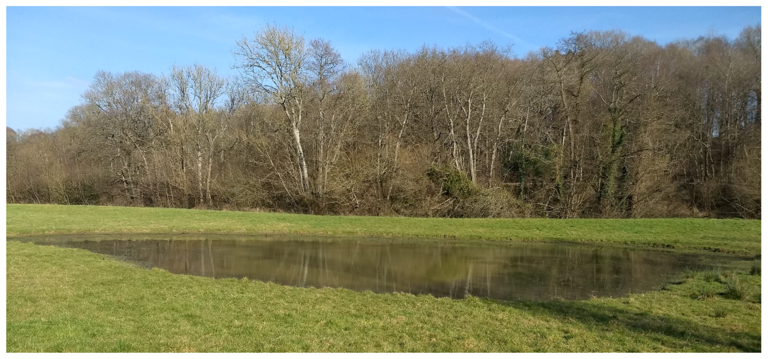 Water 15 02182 g002 Water 15 02182 g002