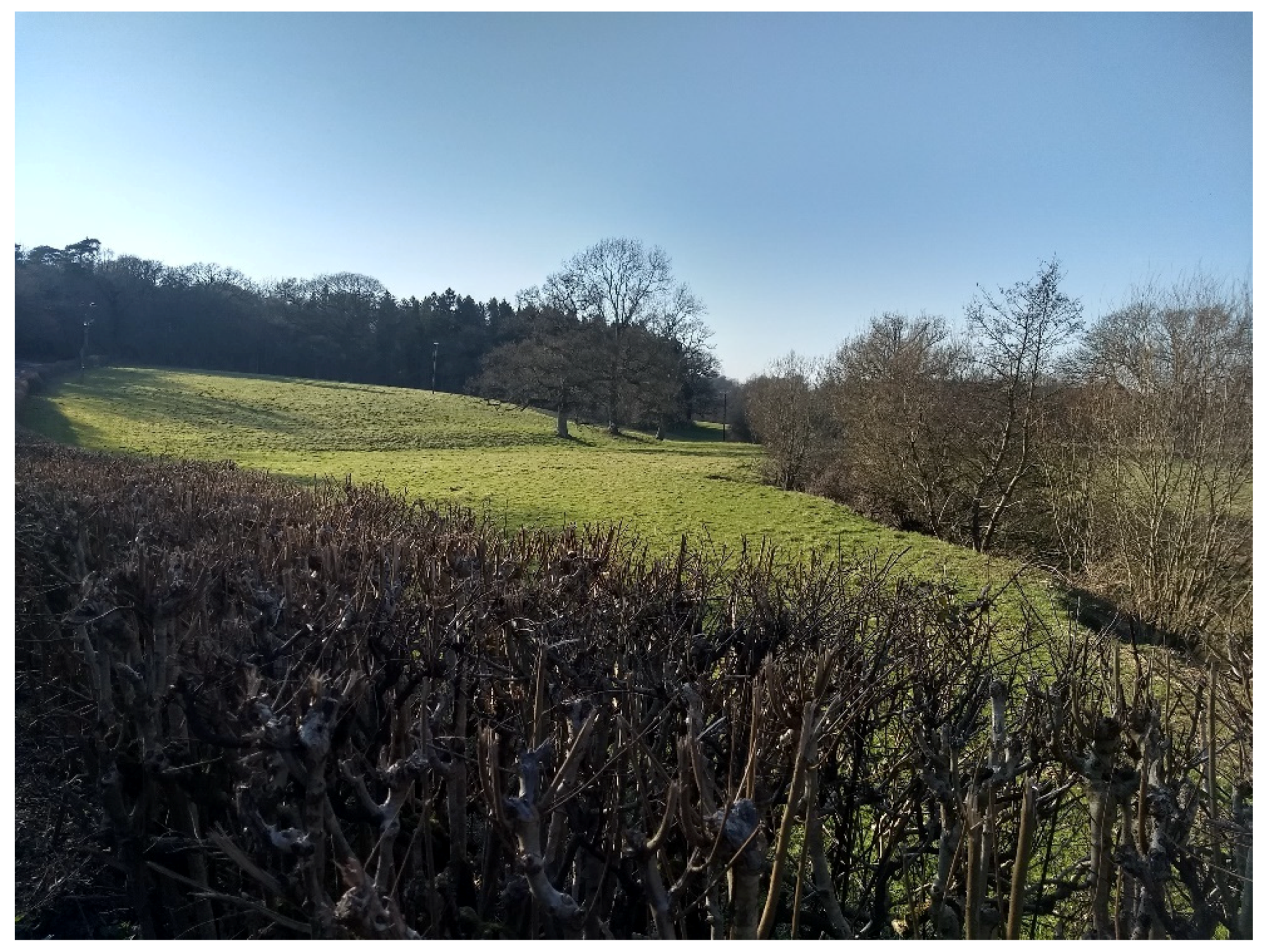 Water 15 02182 g016 Water 15 02182 g016