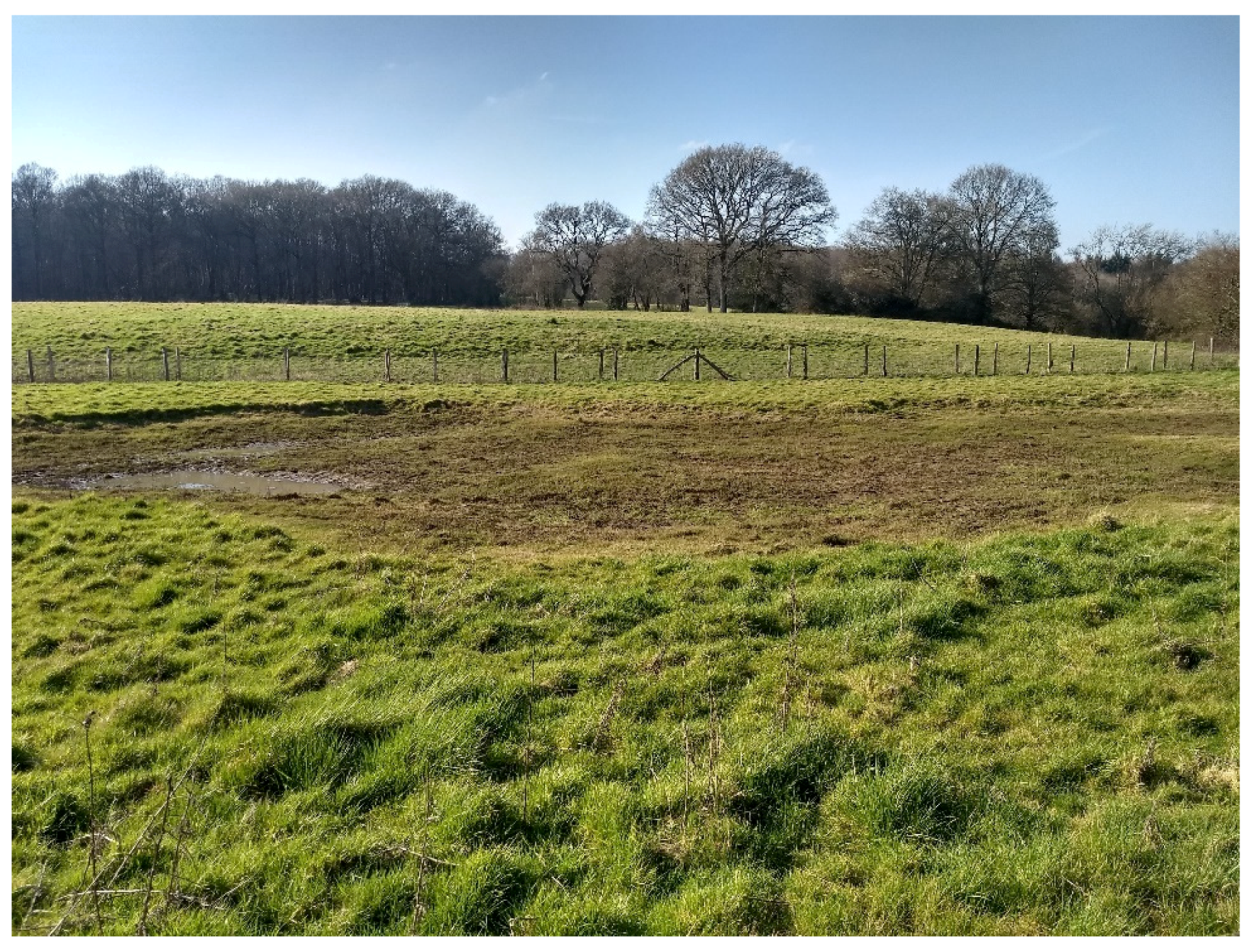 Water 15 02182 g019 Water 15 02182 g019