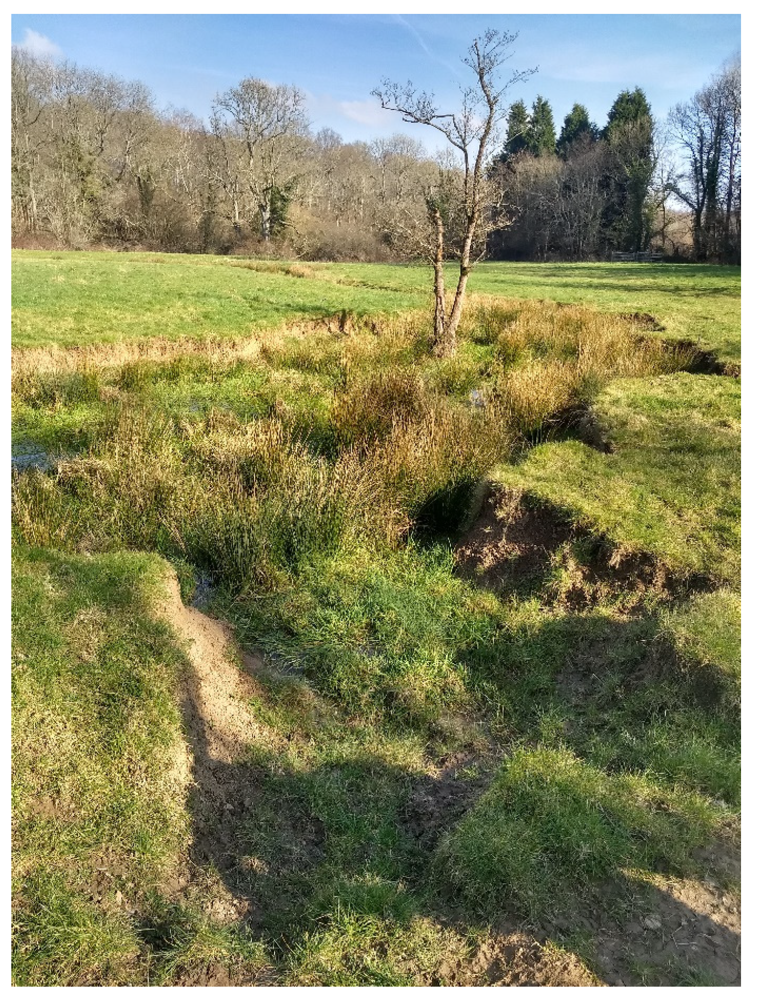 Water 15 02182 g022 Water 15 02182 g022