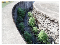 Water 15 02188 i001 Water 15 02188 i001