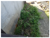 Water 15 02188 i004 Water 15 02188 i004