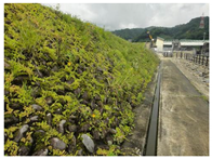 Water 15 02188 i007 Water 15 02188 i007