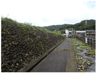 Water 15 02188 i008 Water 15 02188 i008