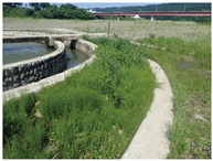 Water 15 02188 i012 Water 15 02188 i012