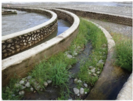 Water 15 02188 i014 Water 15 02188 i014