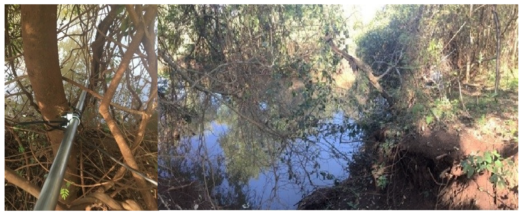 Water 15 02316 g005 Water 15 02316 g005