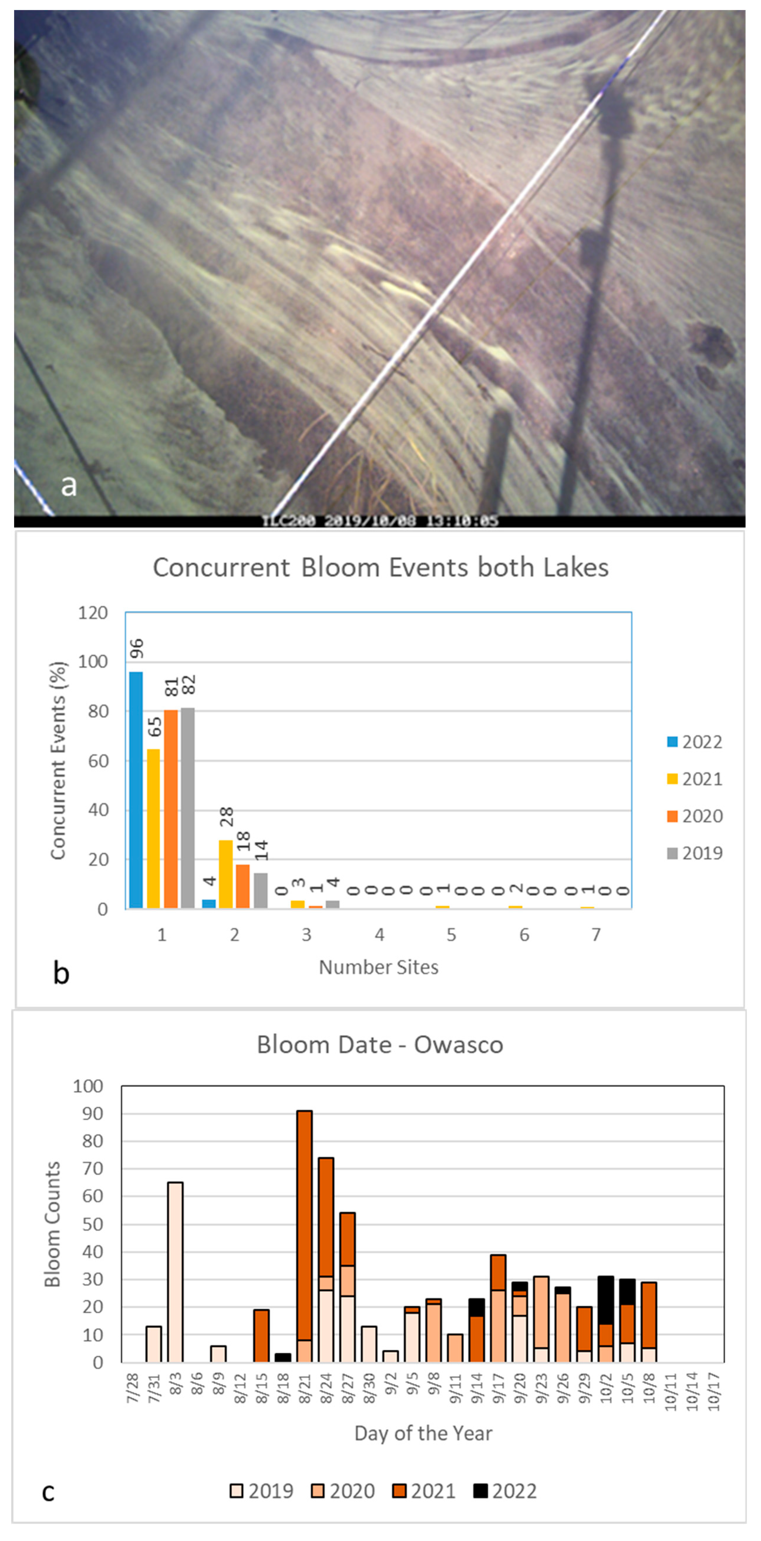 Water 15 02363 g003a