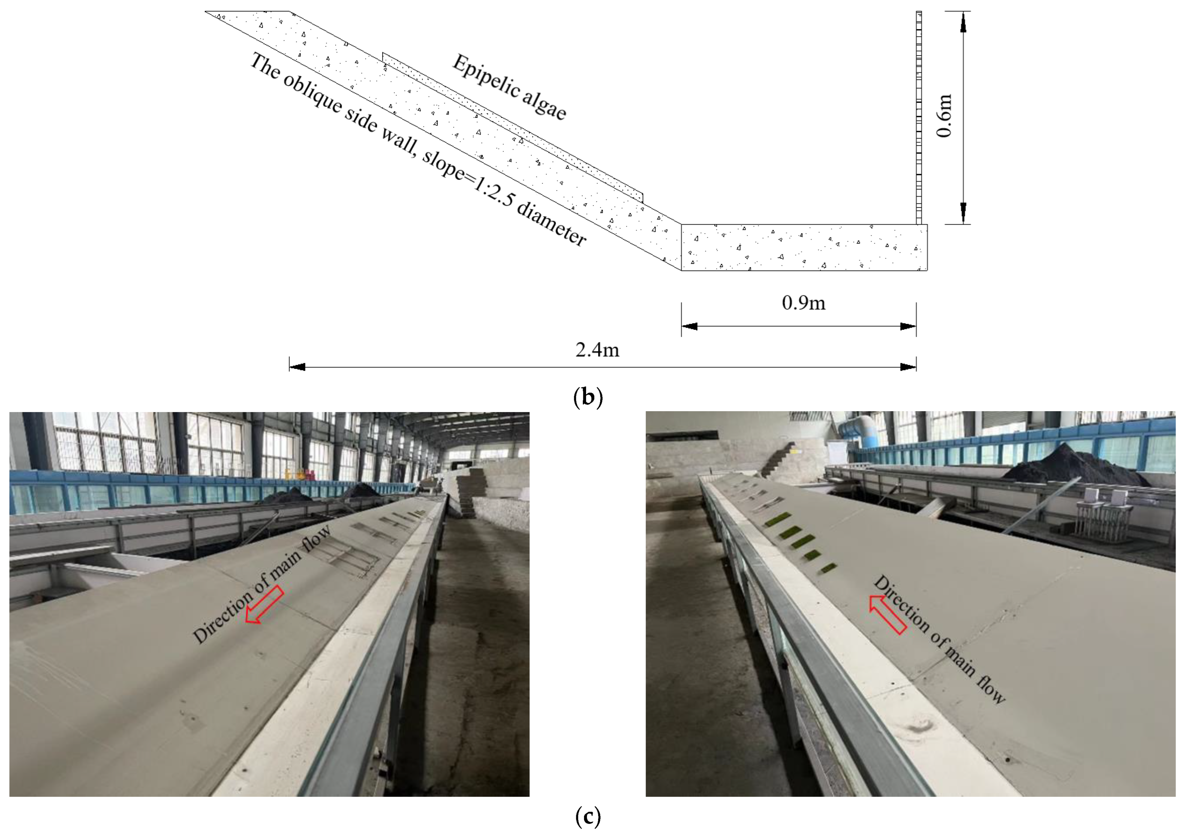 Water 15 02921 g003b