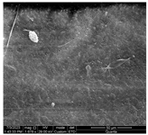 Water 15 03054 i004