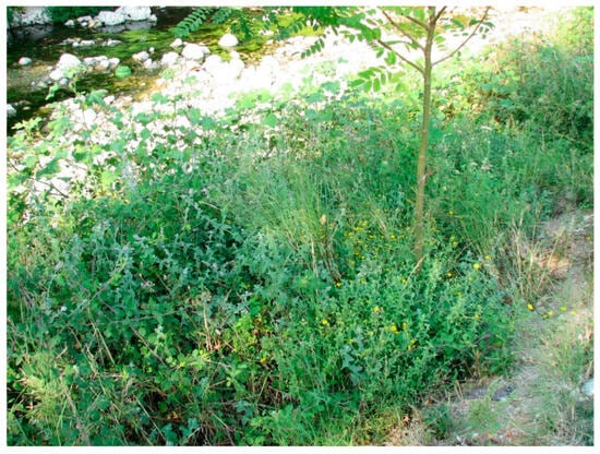 Water 15 03684 g0a10