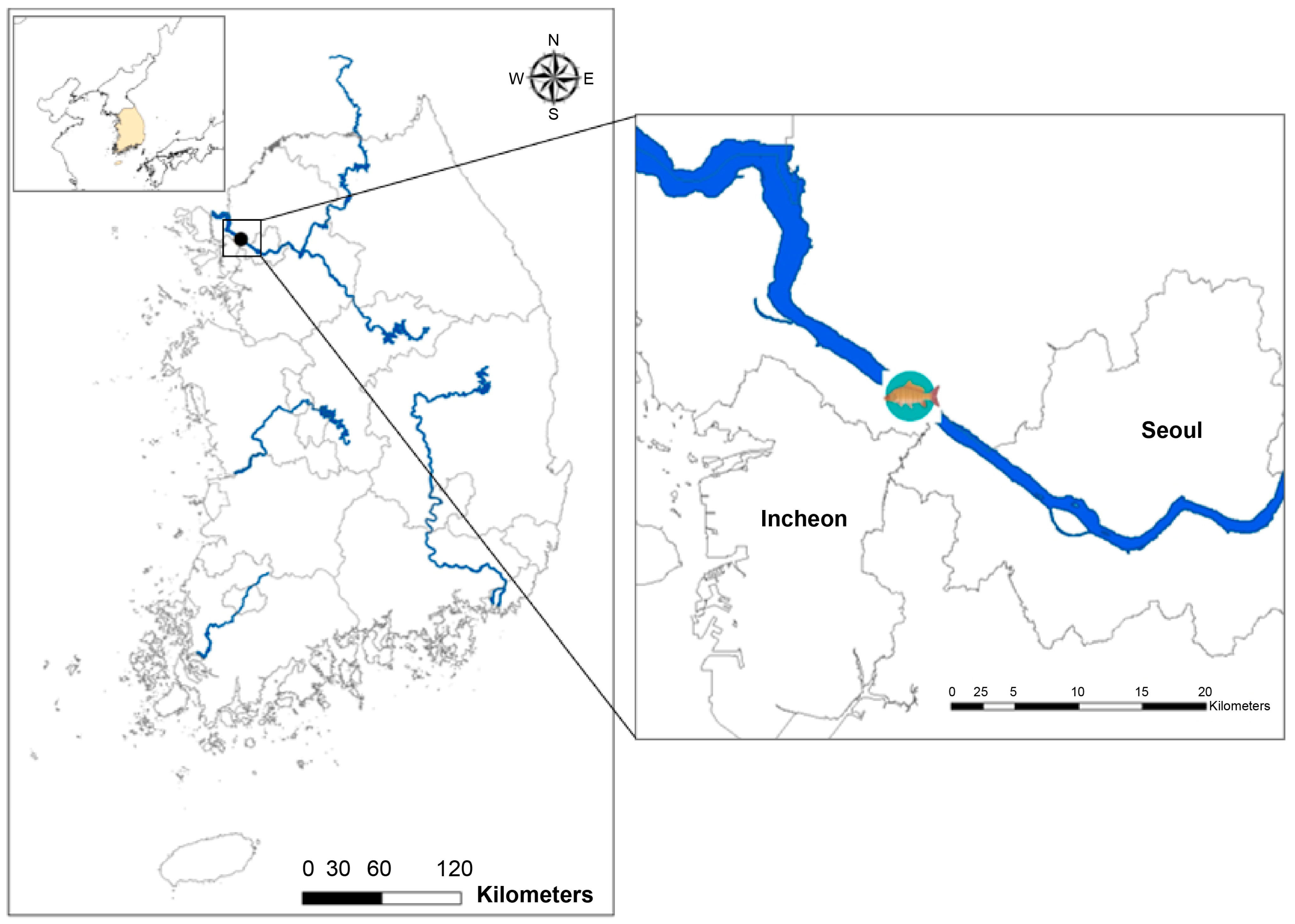 Water 15 04113 g001 Water 15 04113 g001