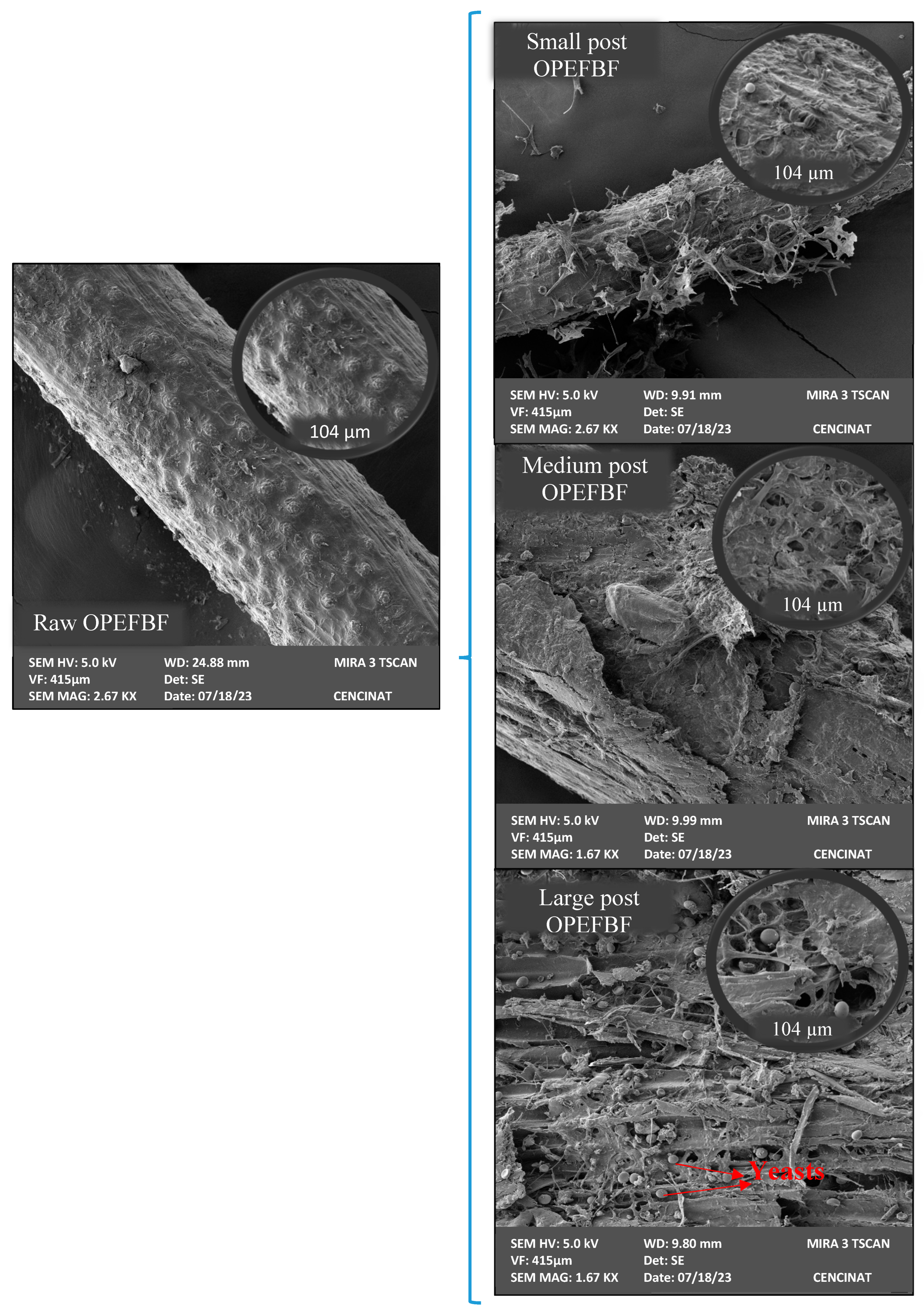 Water 15 04116 g003 Water 15 04116 g003