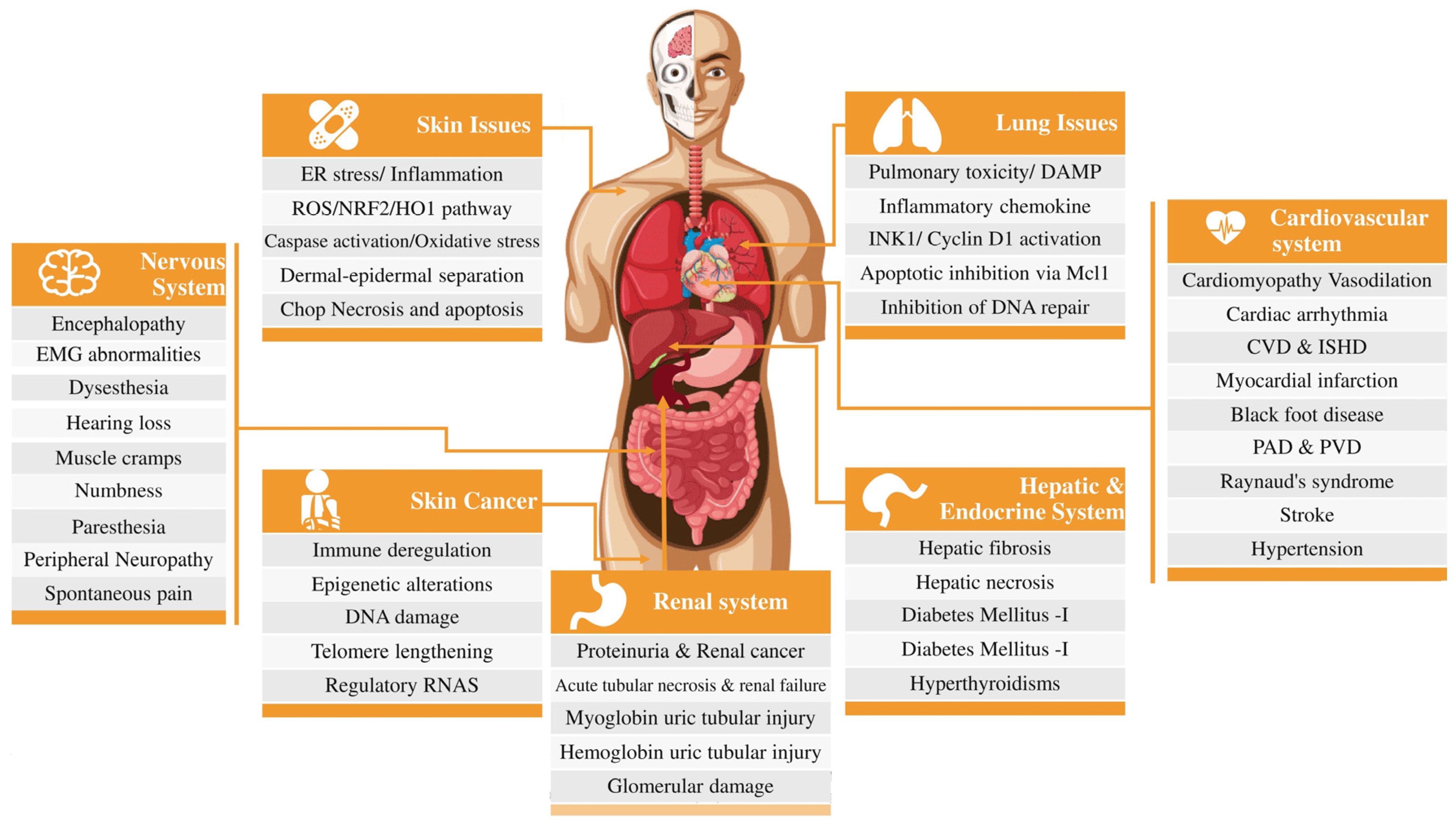 Water 15 04125 g002 Water 15 04125 g002