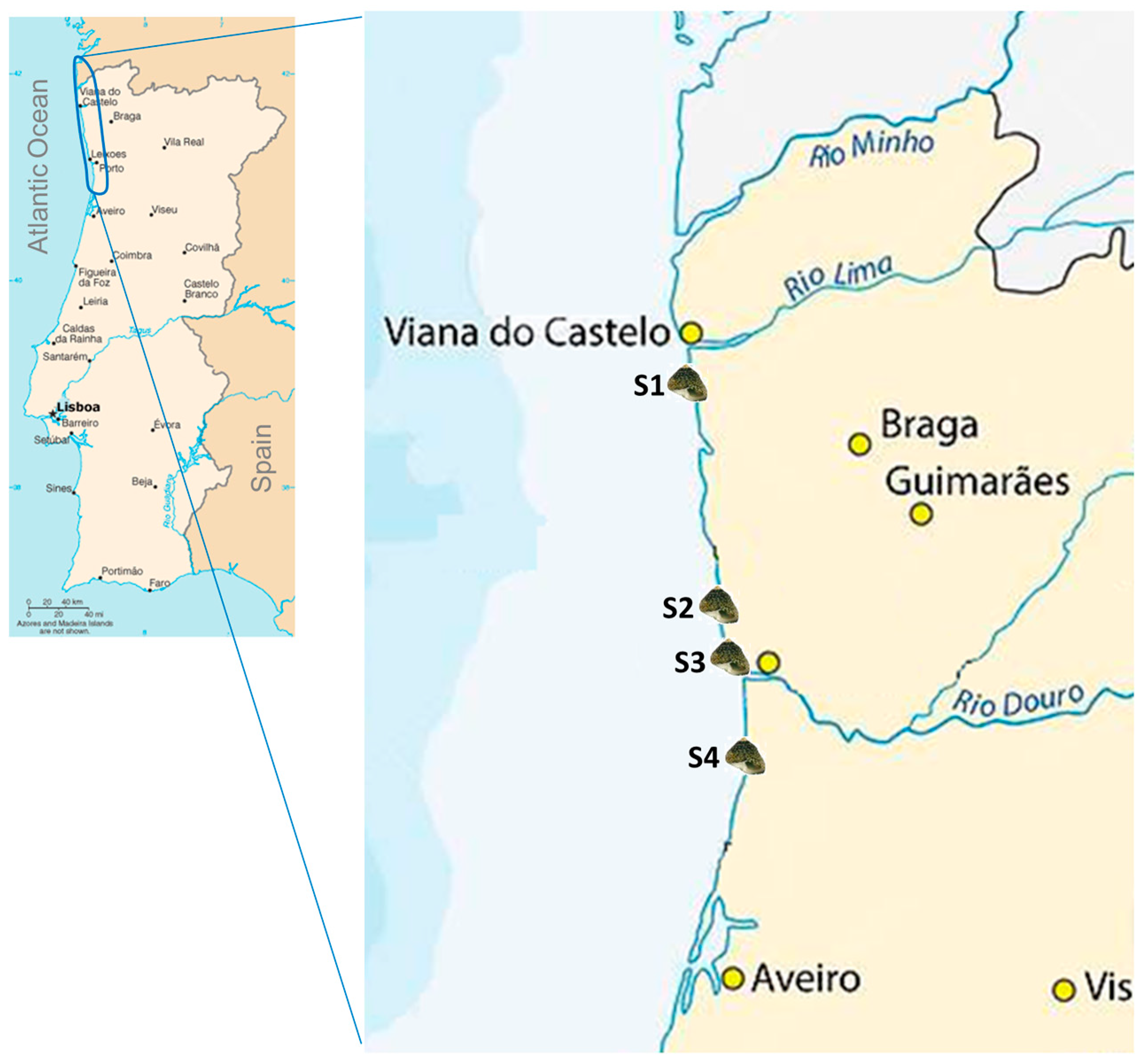 Water 16 00005 g001 Water 16 00005 g001