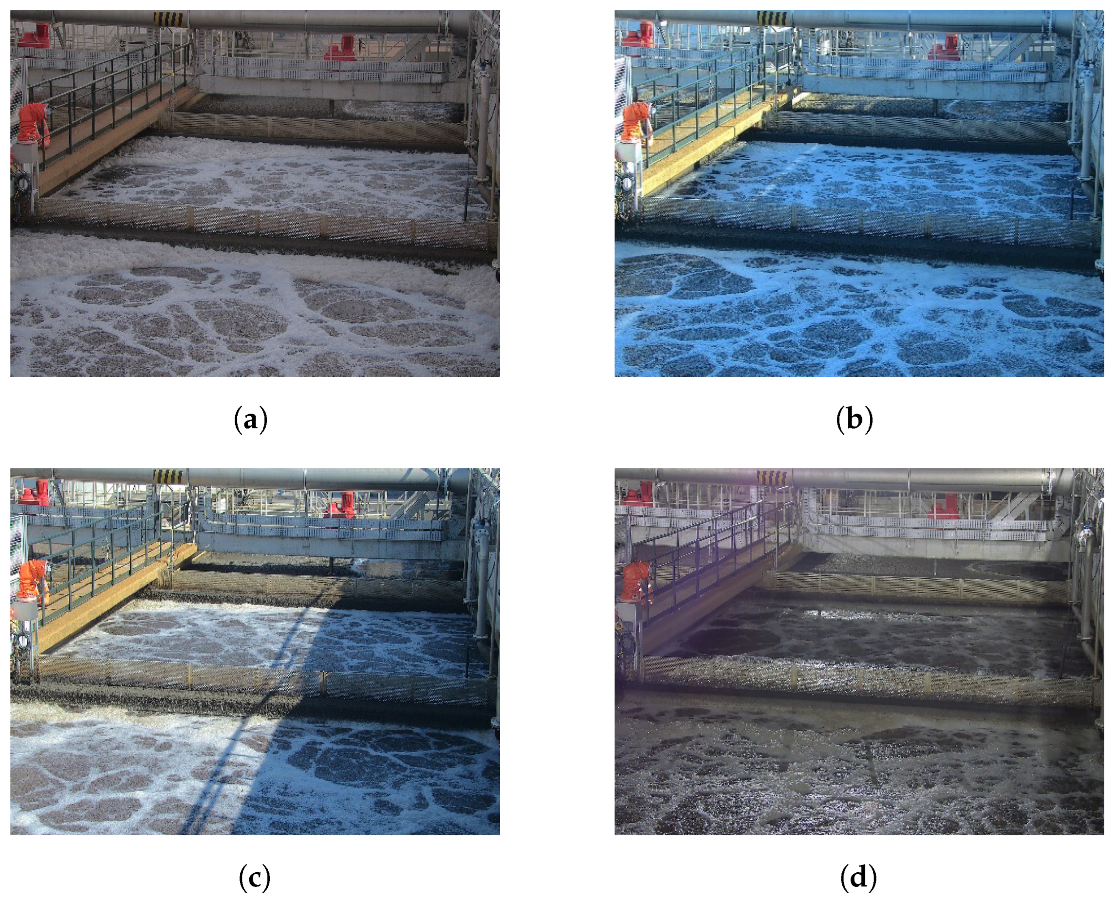 Water 16 00390 g006