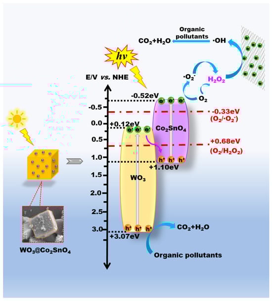 Water 16 00406 sch002