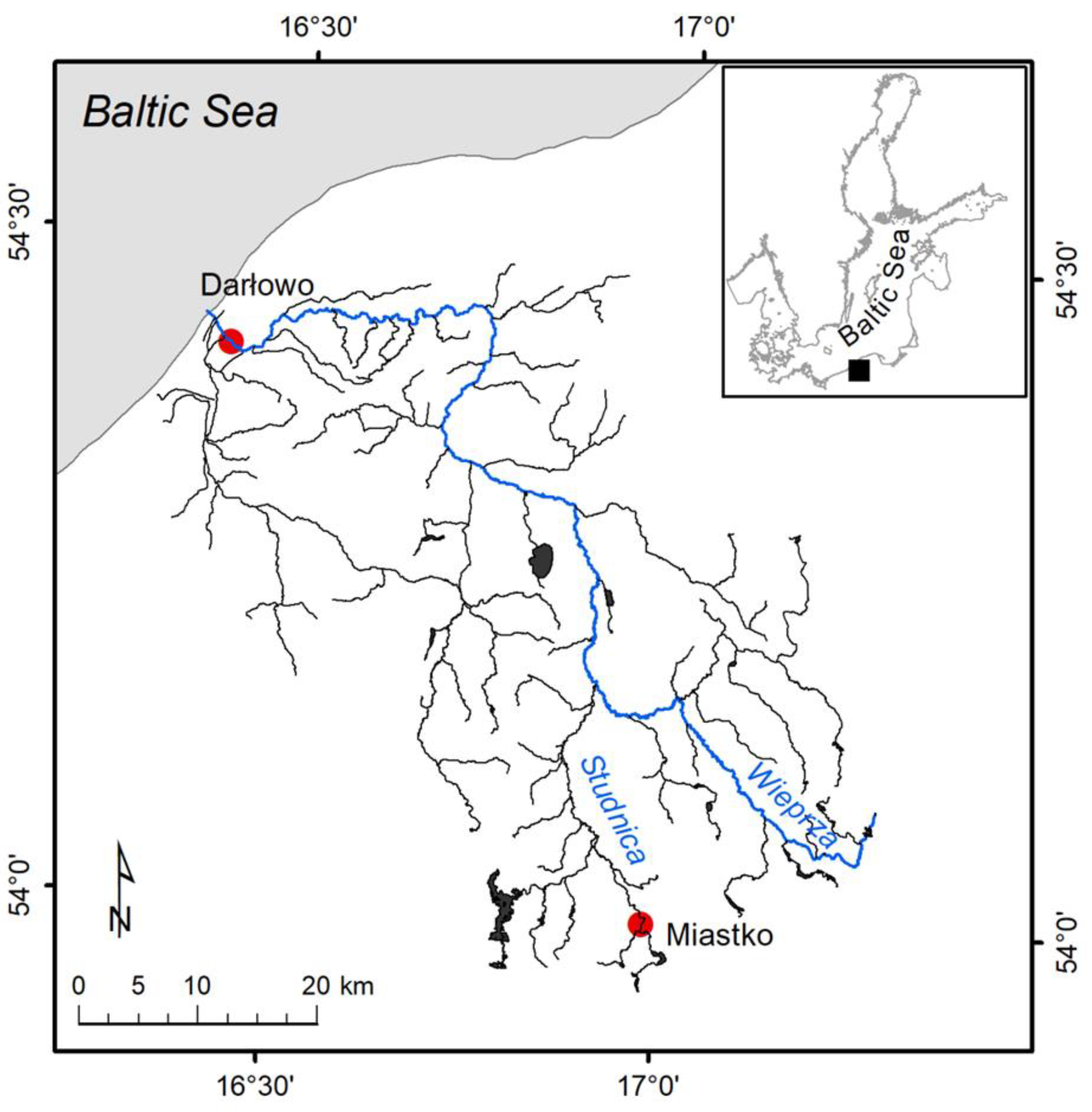 Water 16 00903 g002 Water 16 00903 g002