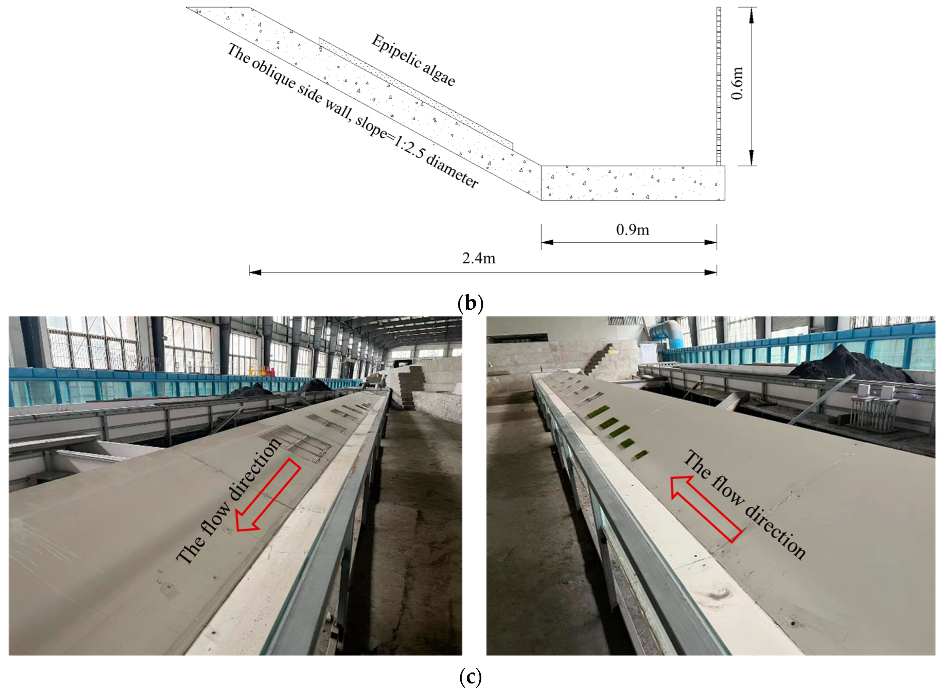 Water 16 00983 g002b