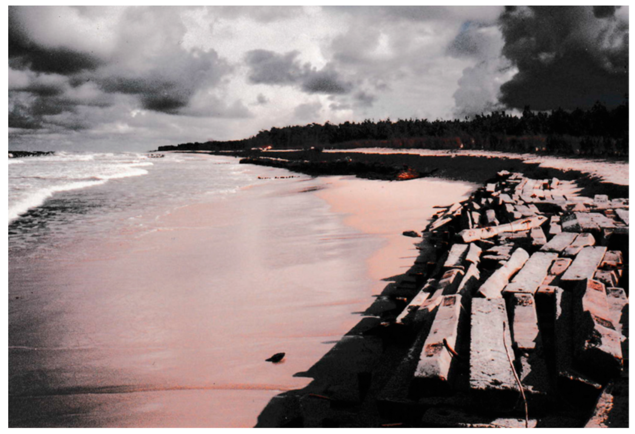 Water 16 01005 g003 Water 16 01005 g003