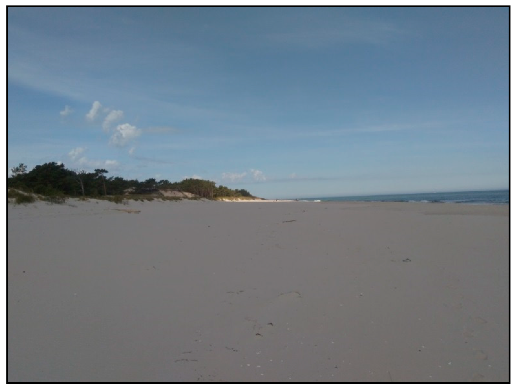 Water 16 01005 g009 Water 16 01005 g009