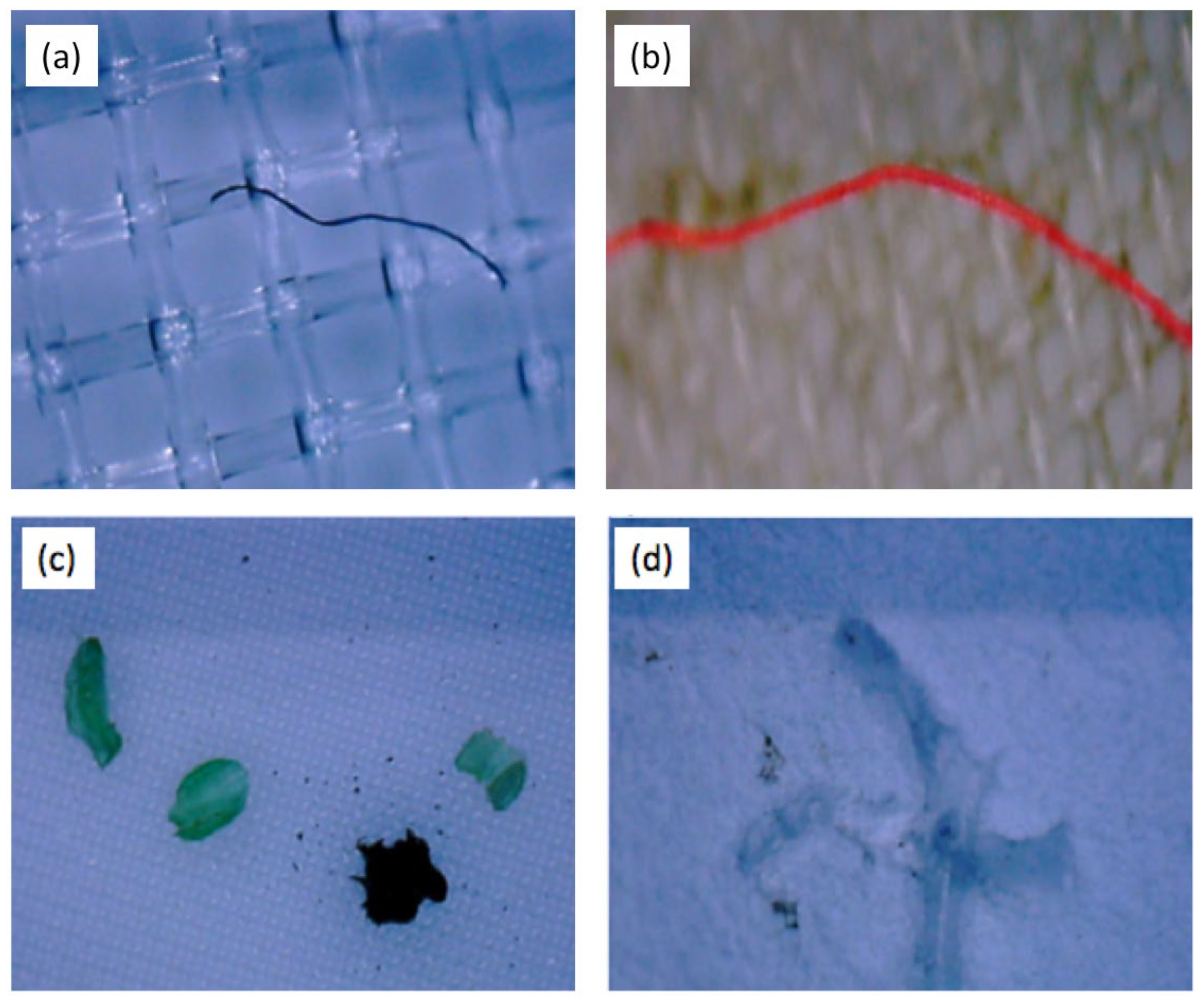 Water 16 01051 g006 Water 16 01051 g006