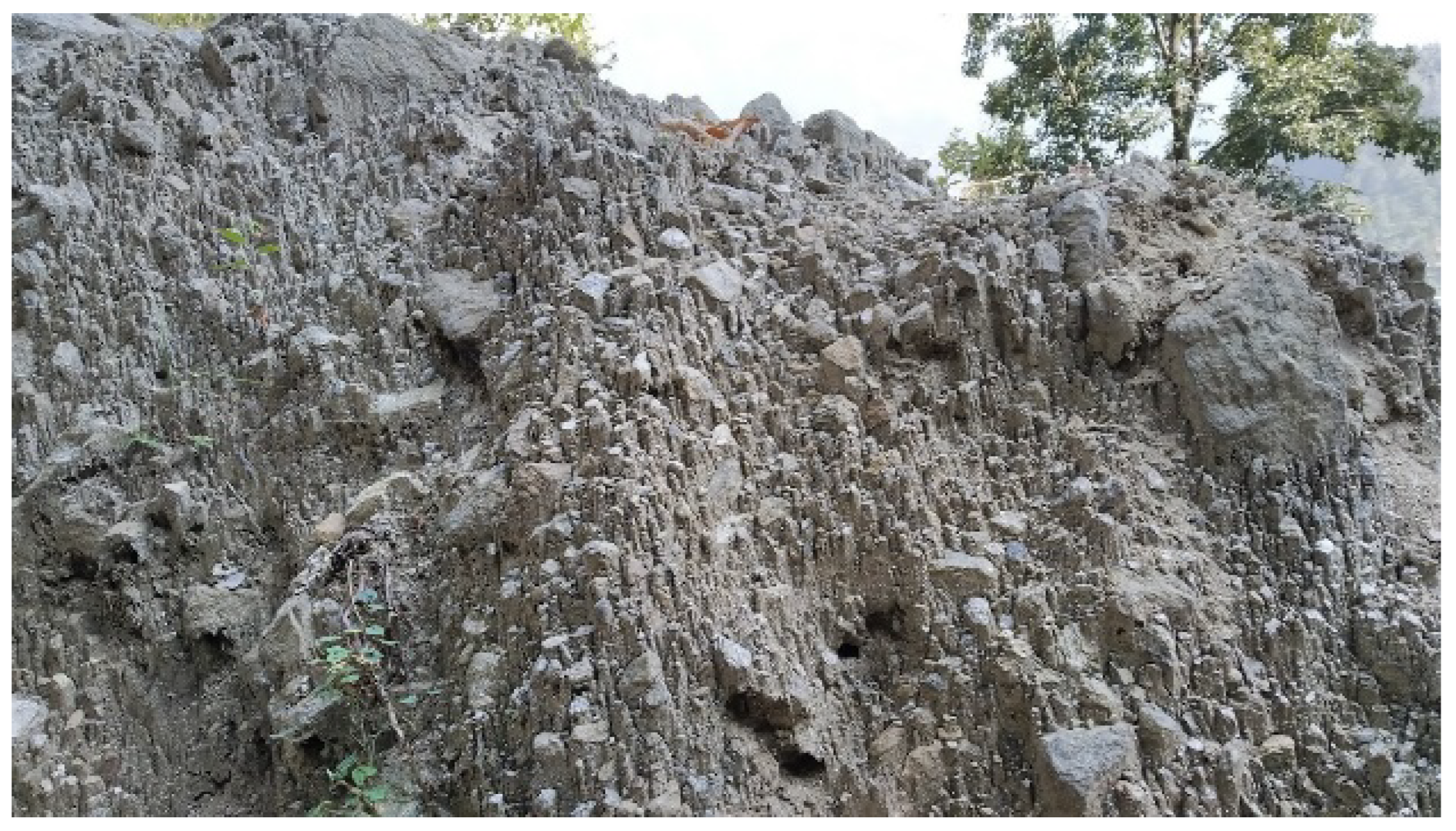 Water 16 01063 g009 Water 16 01063 g009