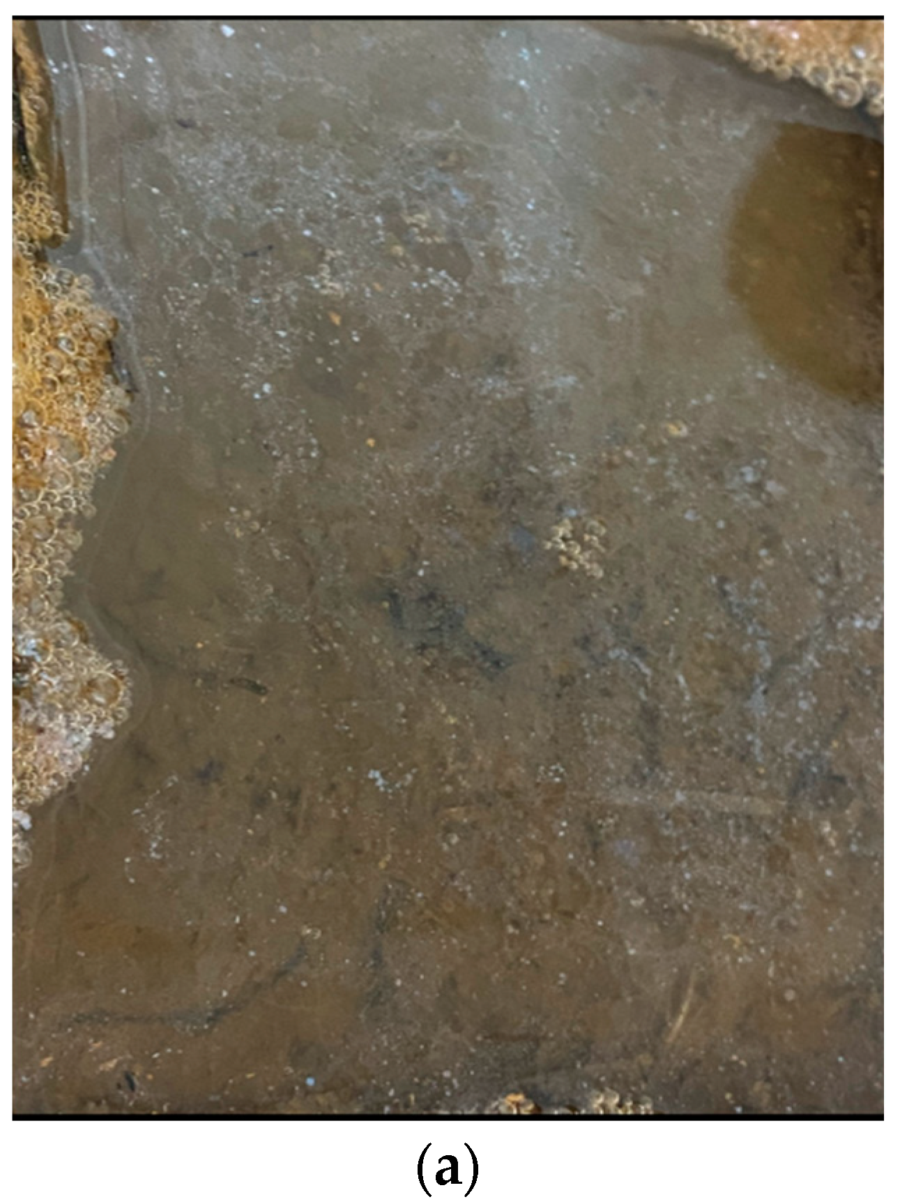 Water 16 01298 g003a