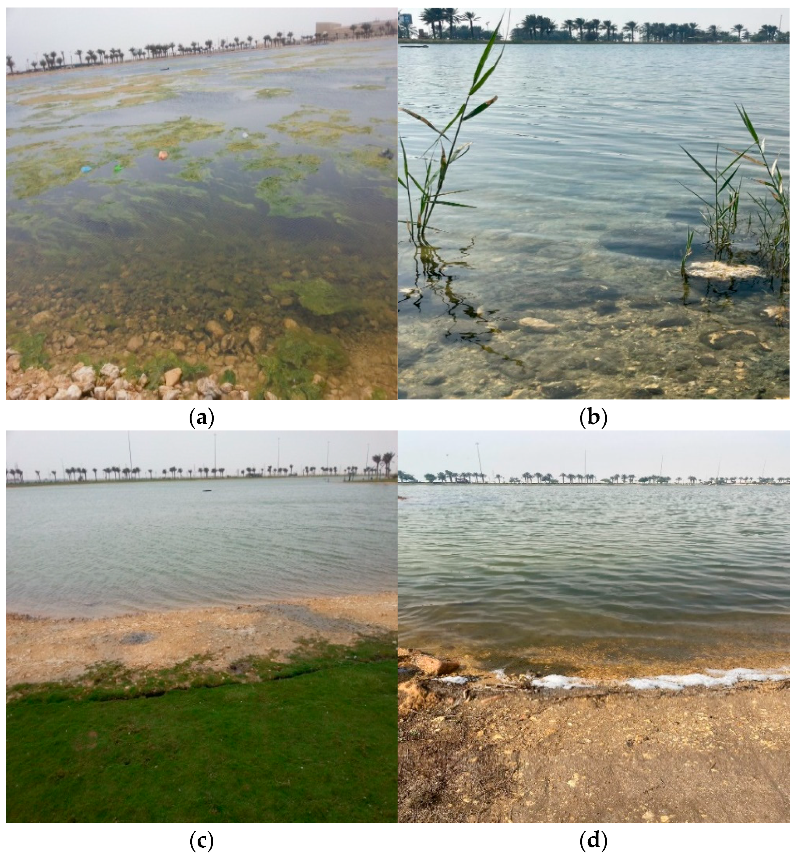 Water 16 01351 g002 Water 16 01351 g002