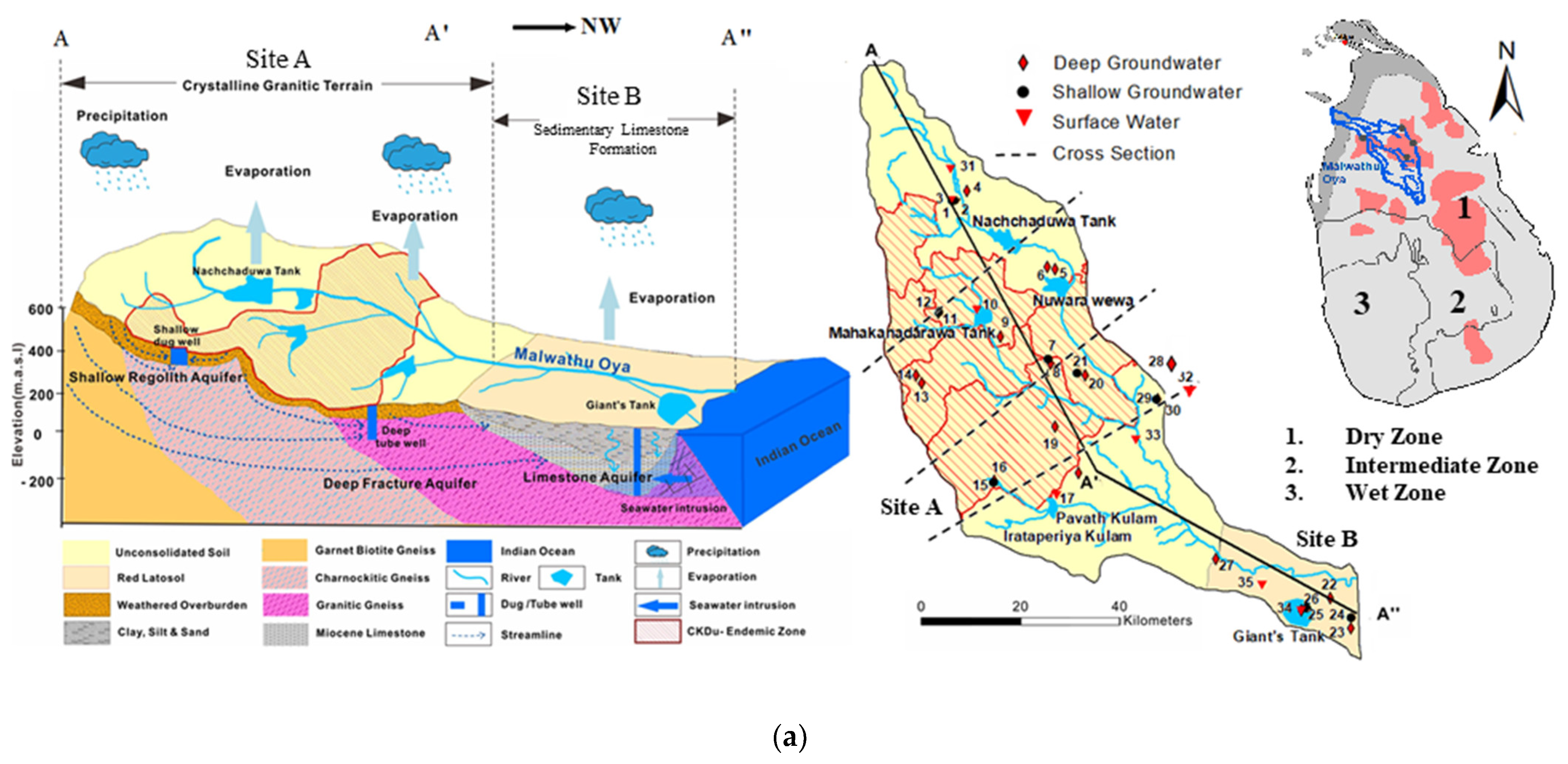 Water 16 01606 g001a