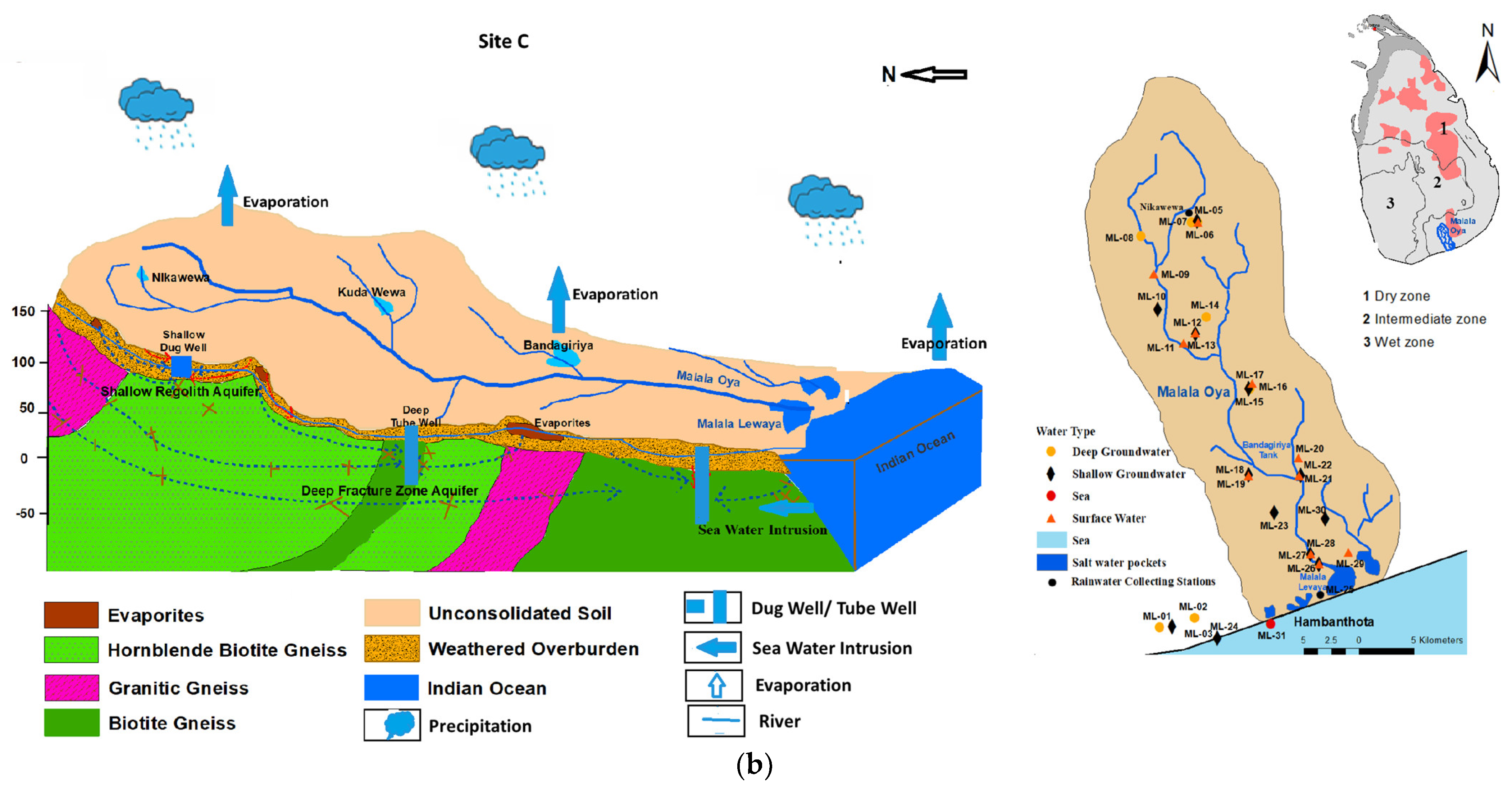 Water 16 01606 g001b