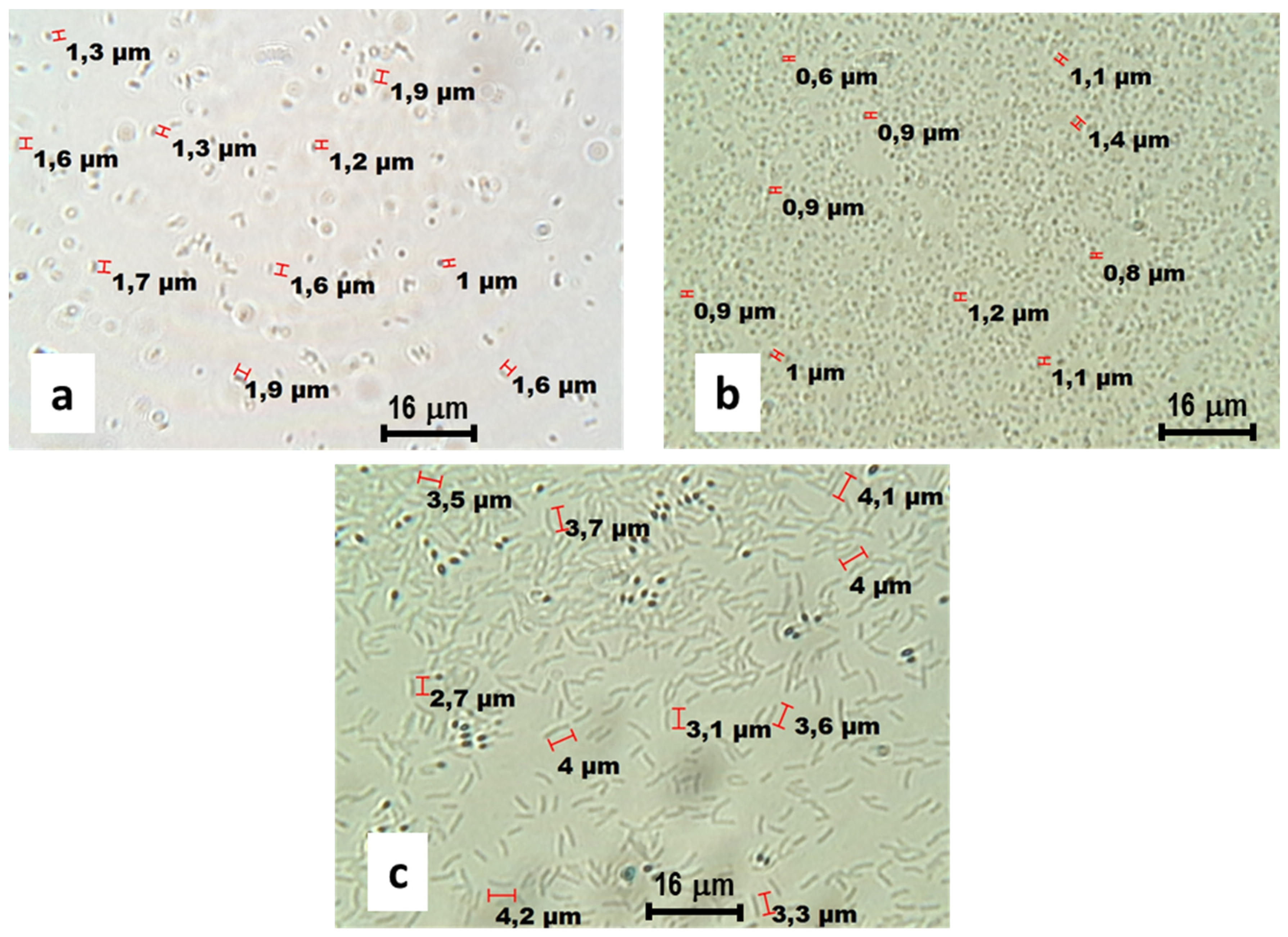 Water 16 01653 g005 Water 16 01653 g005