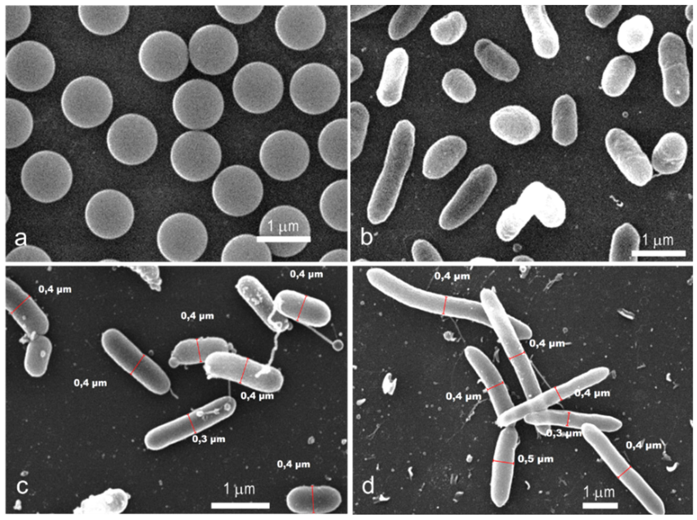 Water 16 01653 g006 Water 16 01653 g006