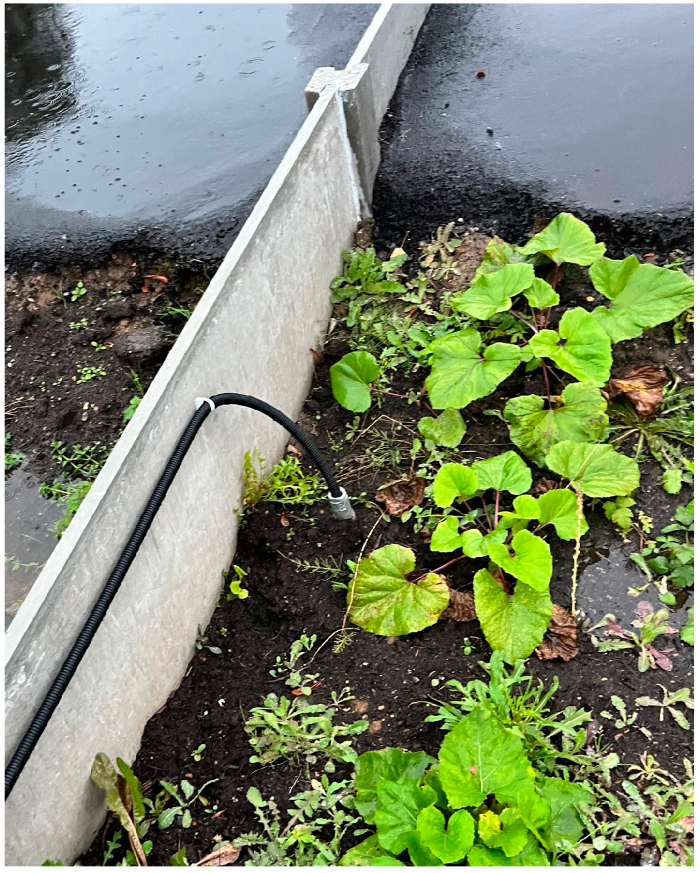 Water 16 02018 g004 Water 16 02018 g004