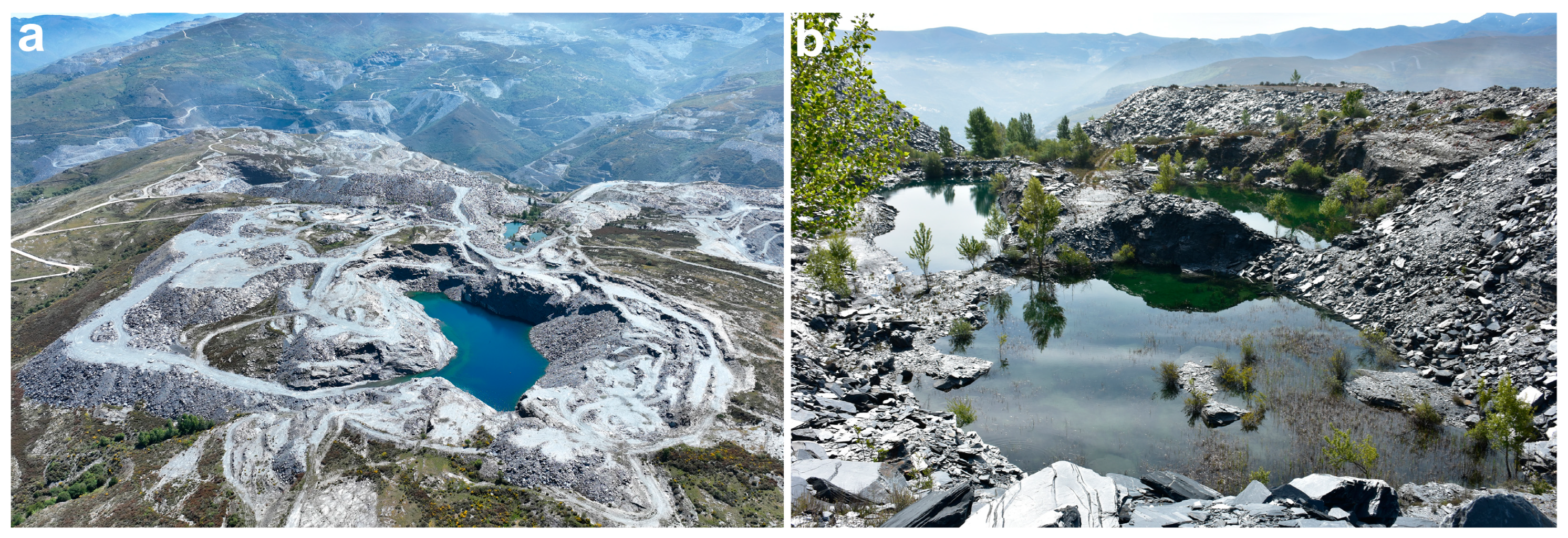 Water 16 02403 g008 Water 16 02403 g008