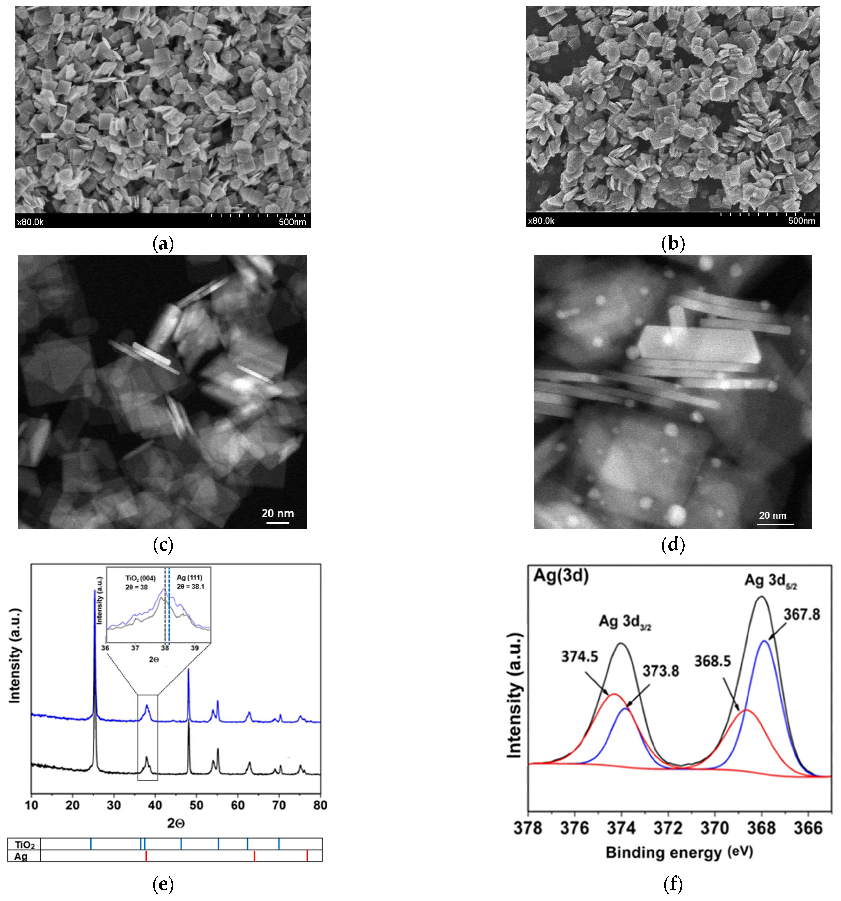 Water 16 02434 g001a