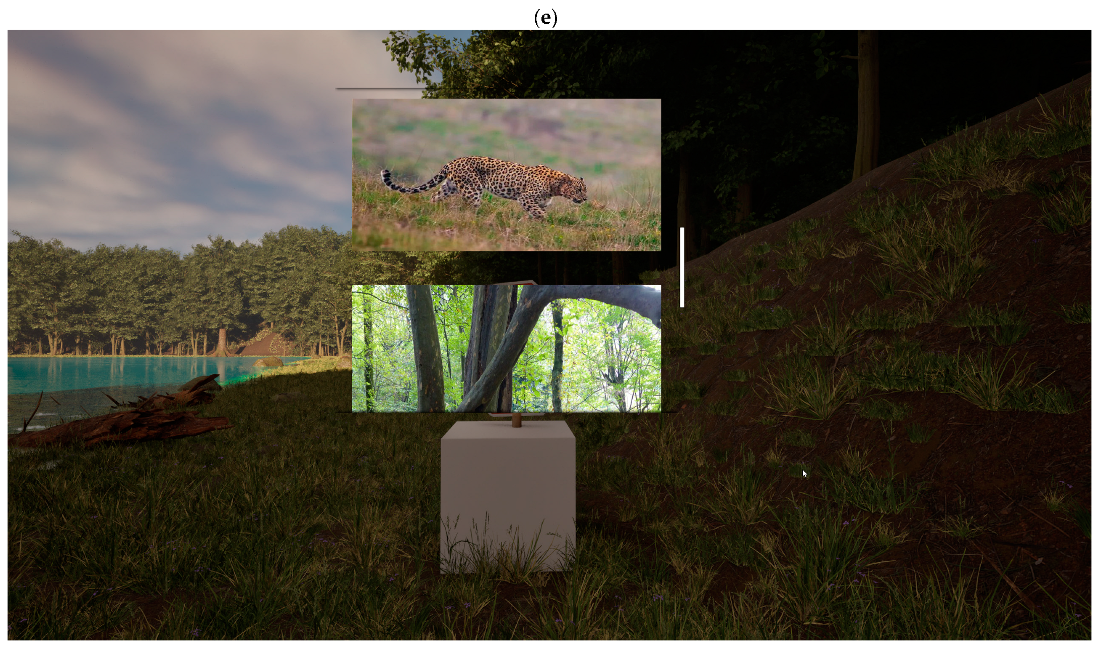 Water 16 02528 g008c