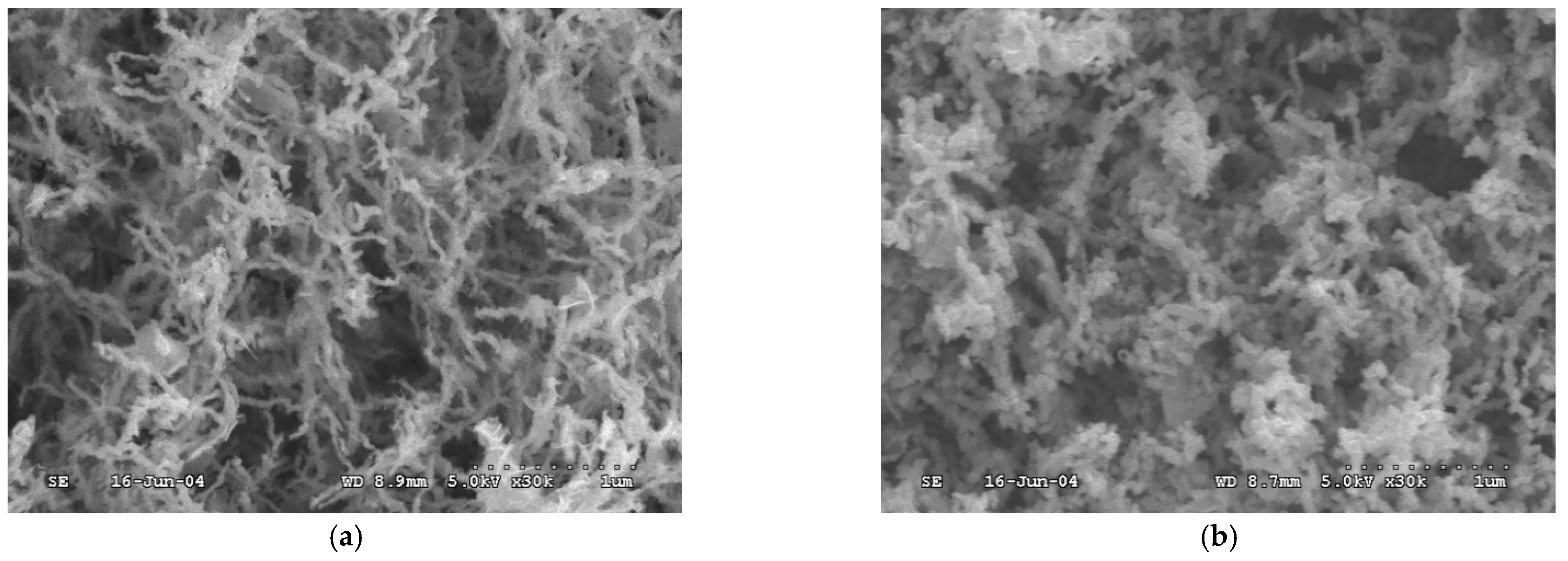 Water 16 02855 g002 Water 16 02855 g002