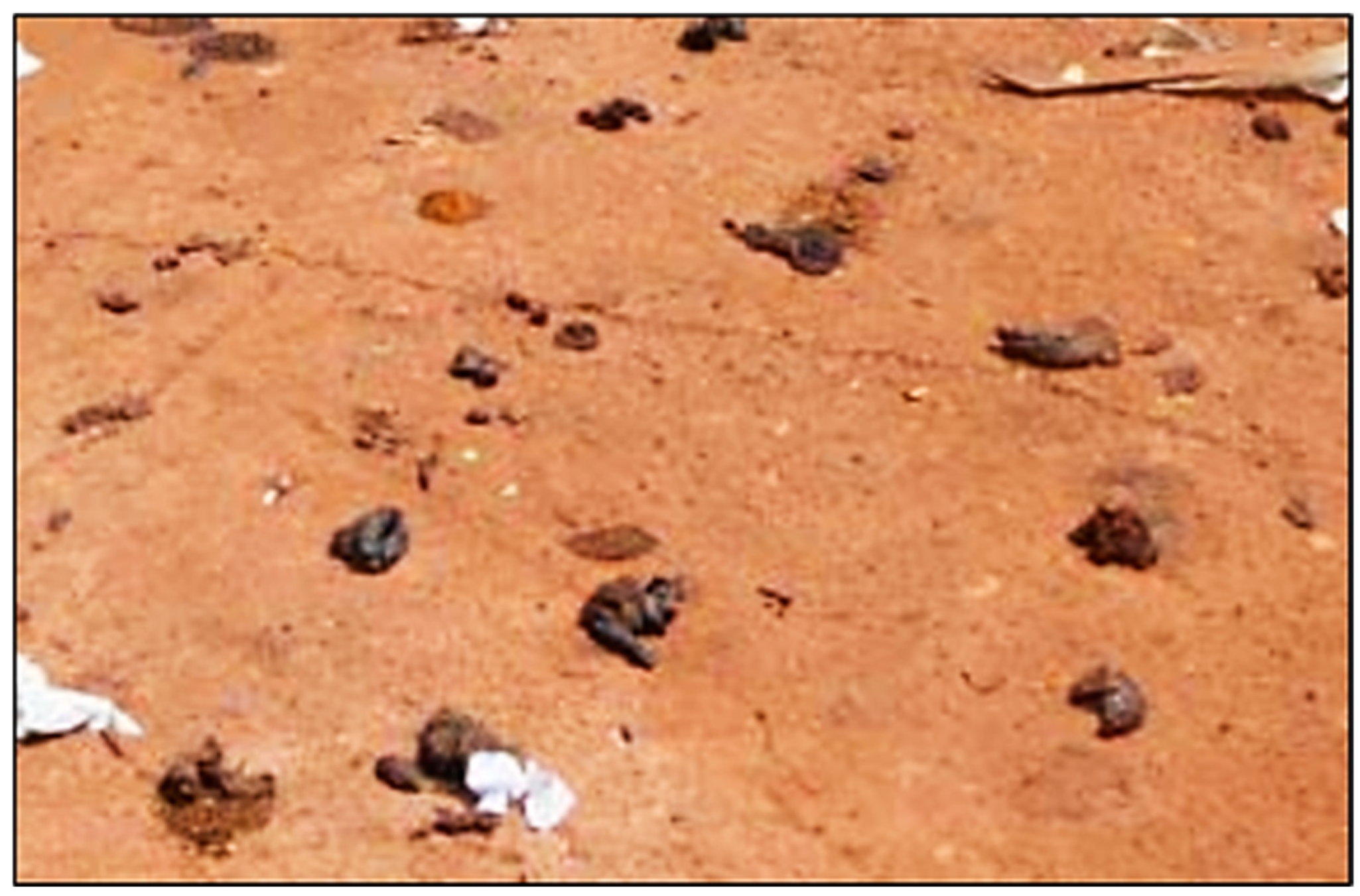 Water 16 03085 g003 Water 16 03085 g003