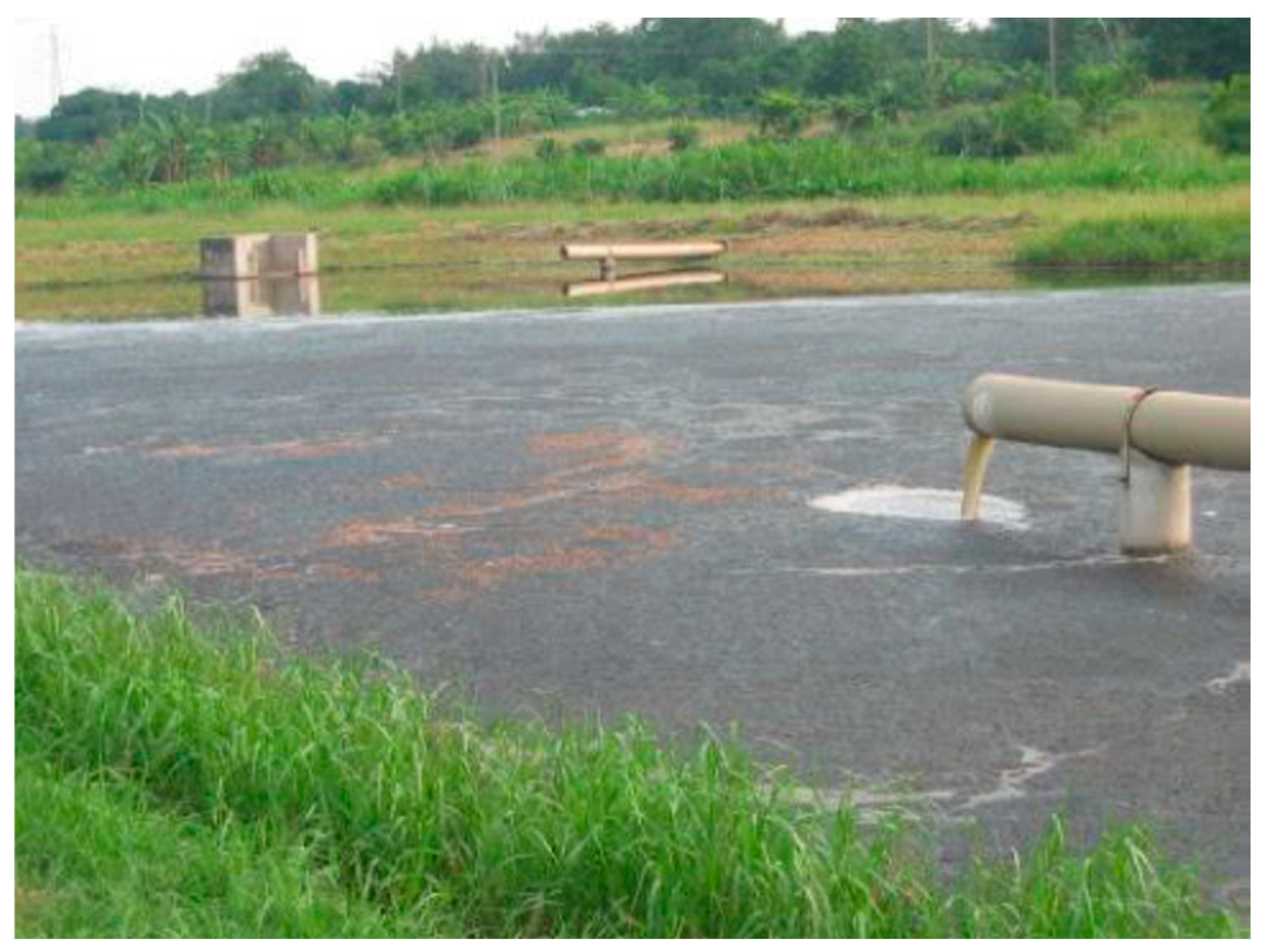 Water 16 03085 g013 Water 16 03085 g013