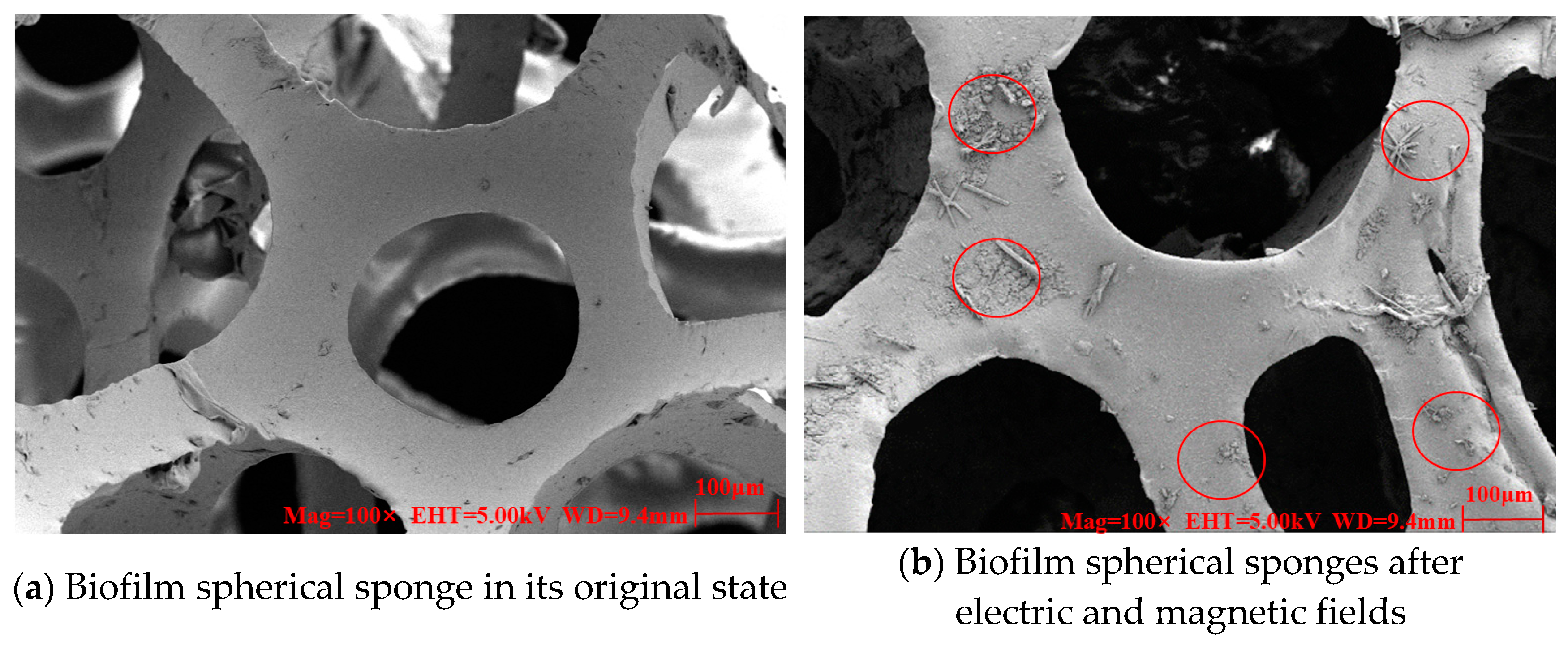 Water 16 03088 g011a