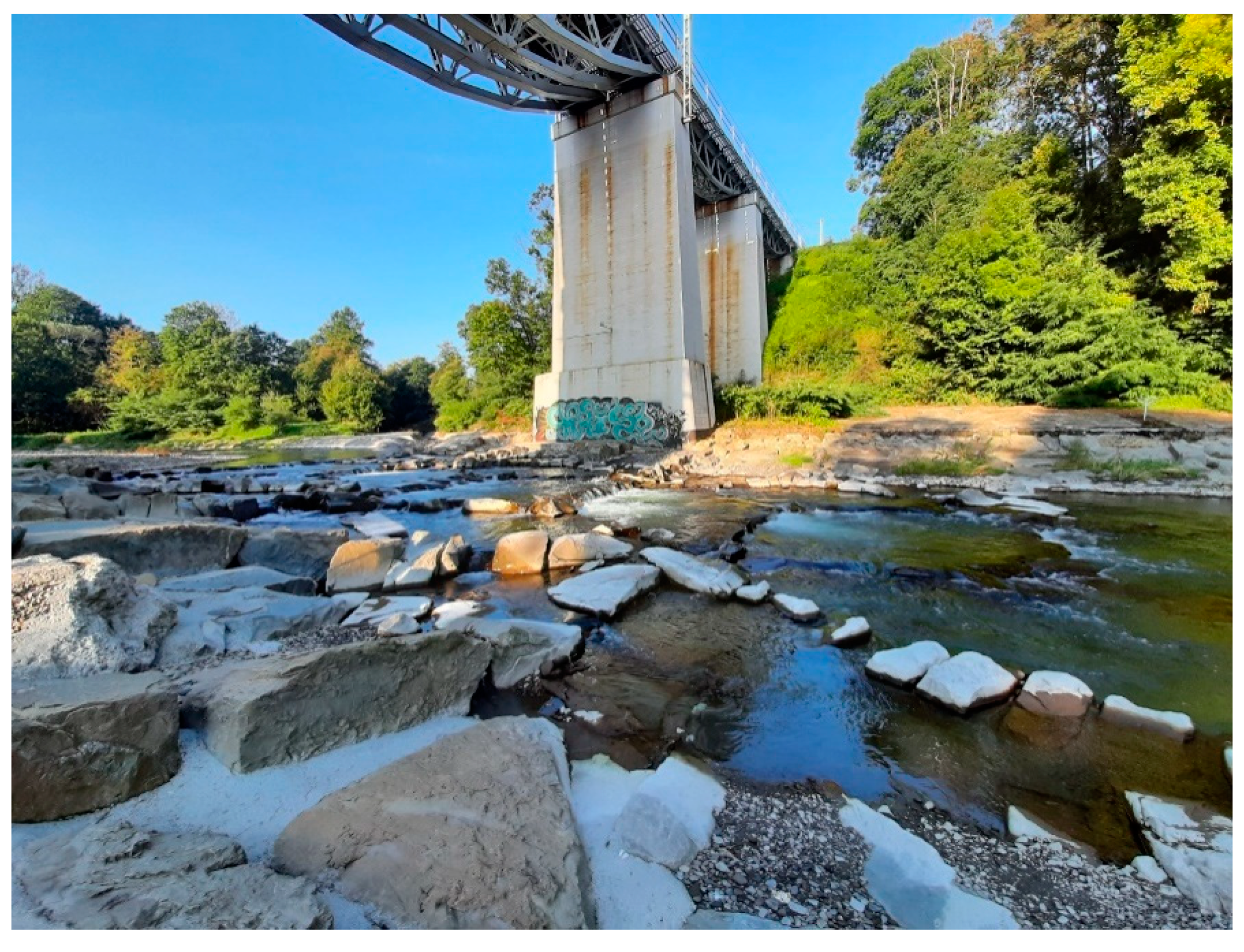 Water 16 03118 g001 Water 16 03118 g001