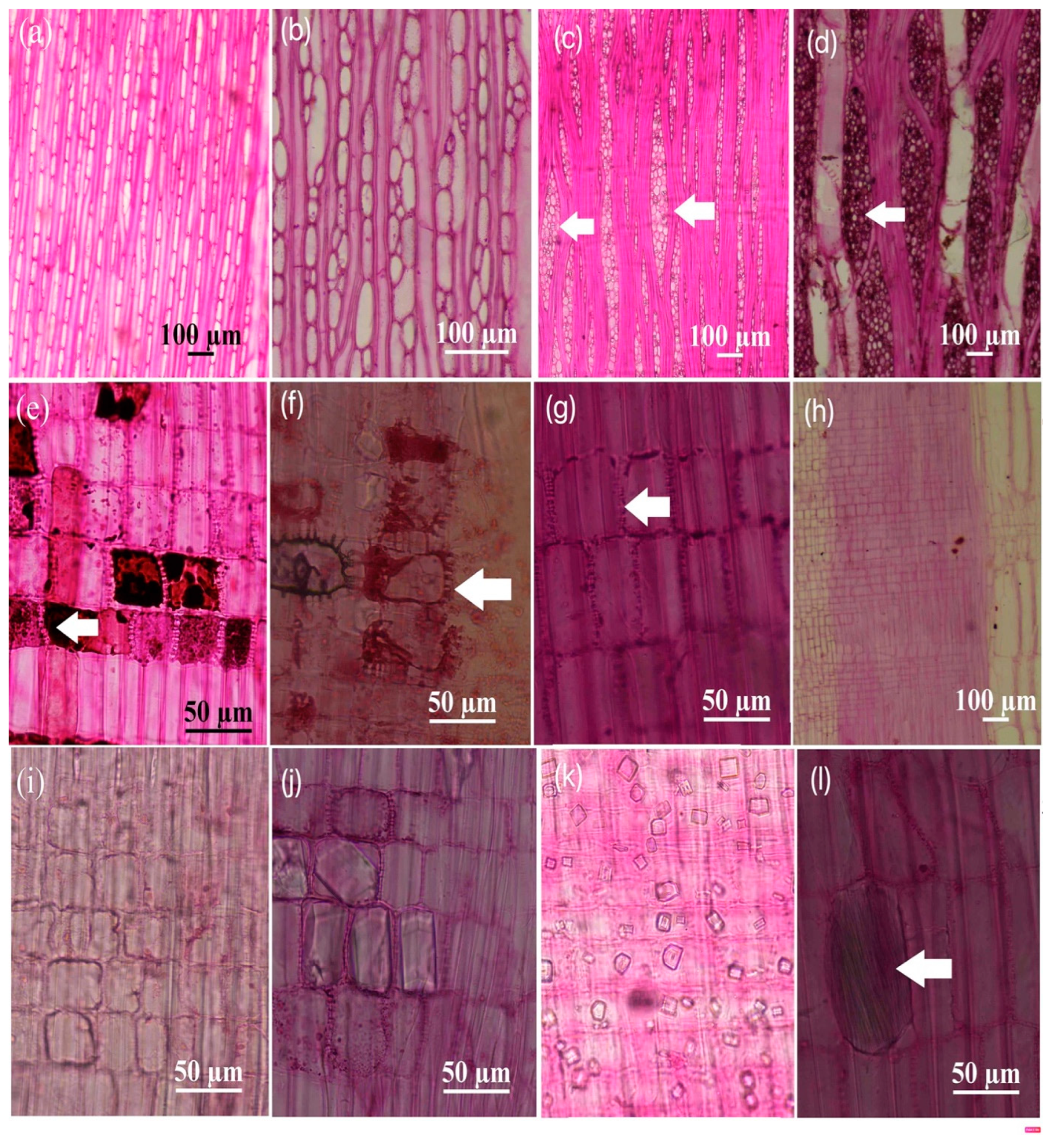 Water 16 03207 g006 Water 16 03207 g006