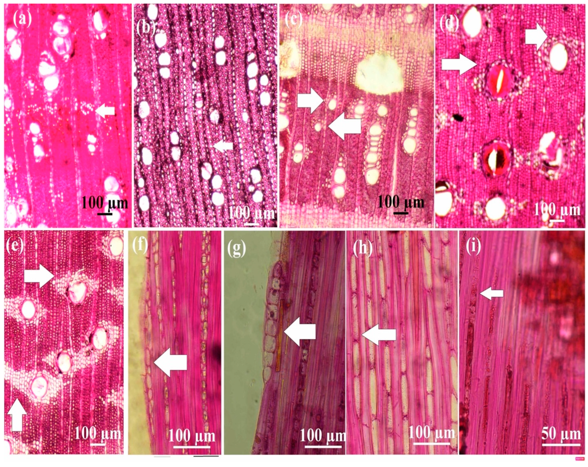 Water 16 03207 g008 Water 16 03207 g008